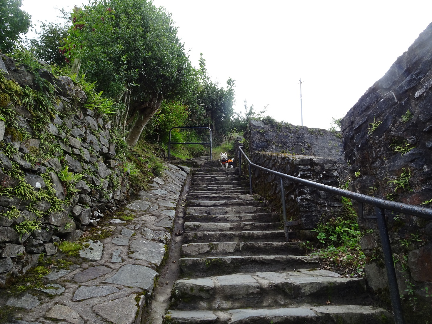 poppysocks on stairs to Tarbert castle