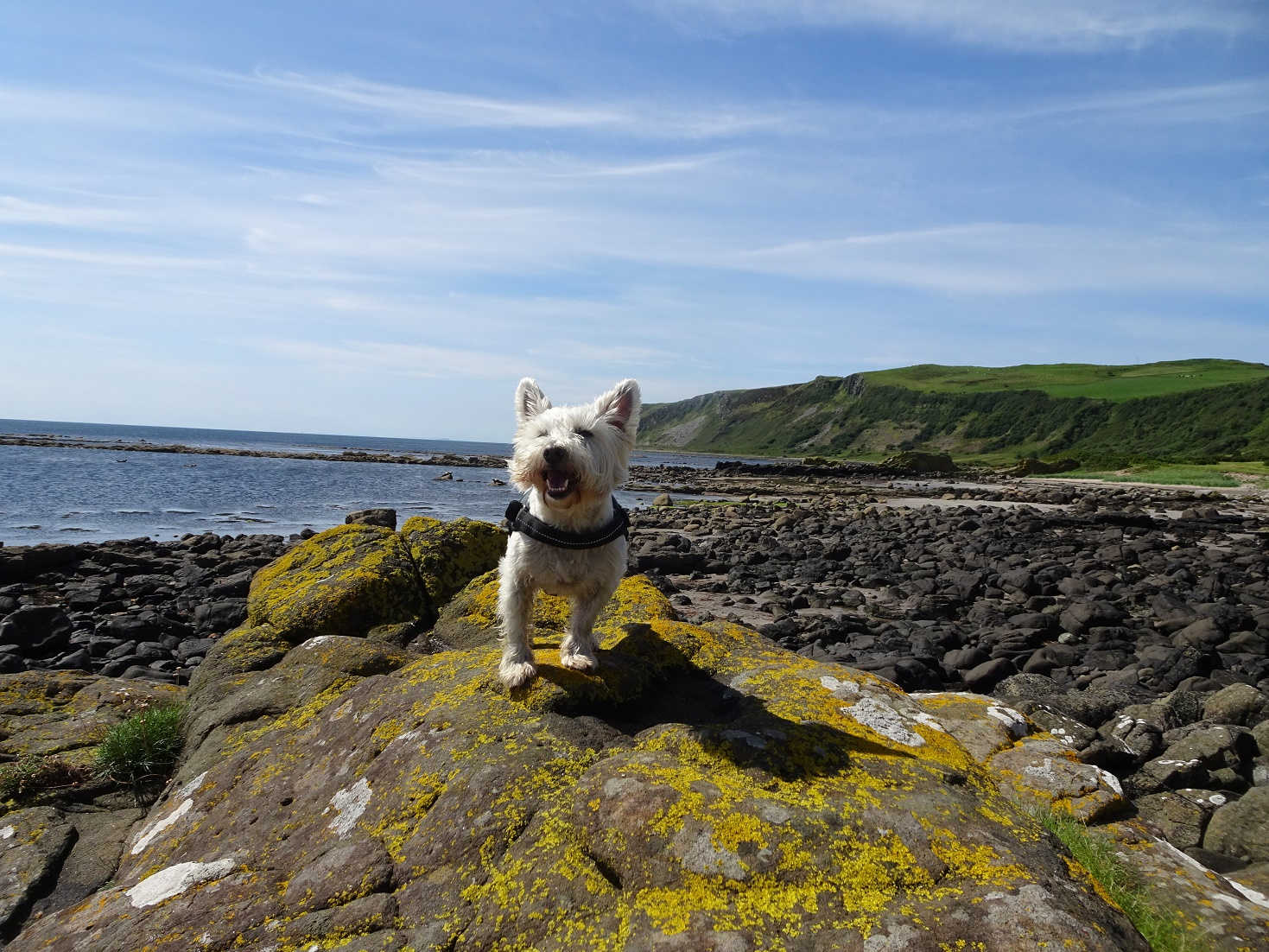 poppysocks rock climbing near Kildonan