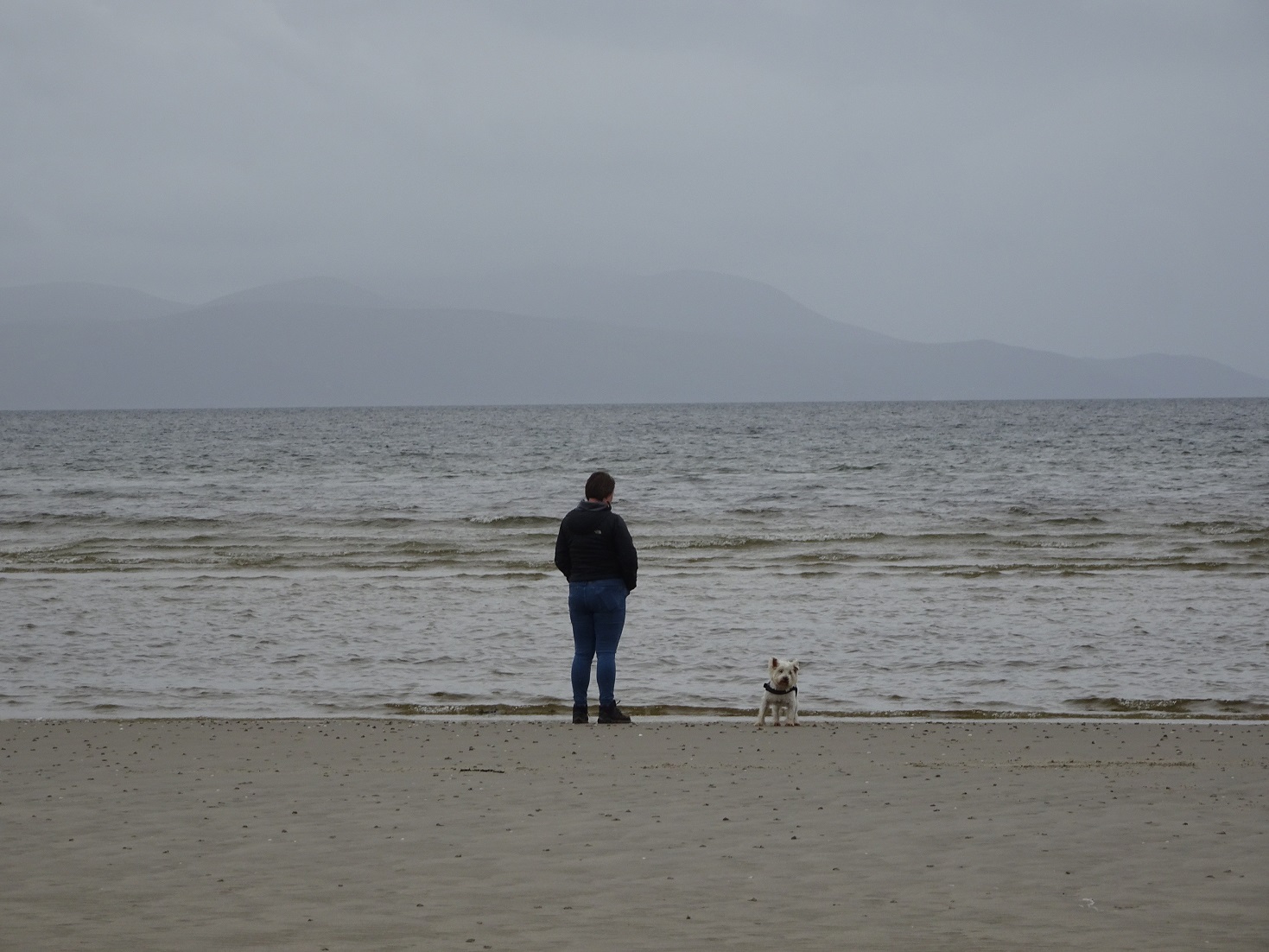 poppy the westie and mum in Ettrick Bay