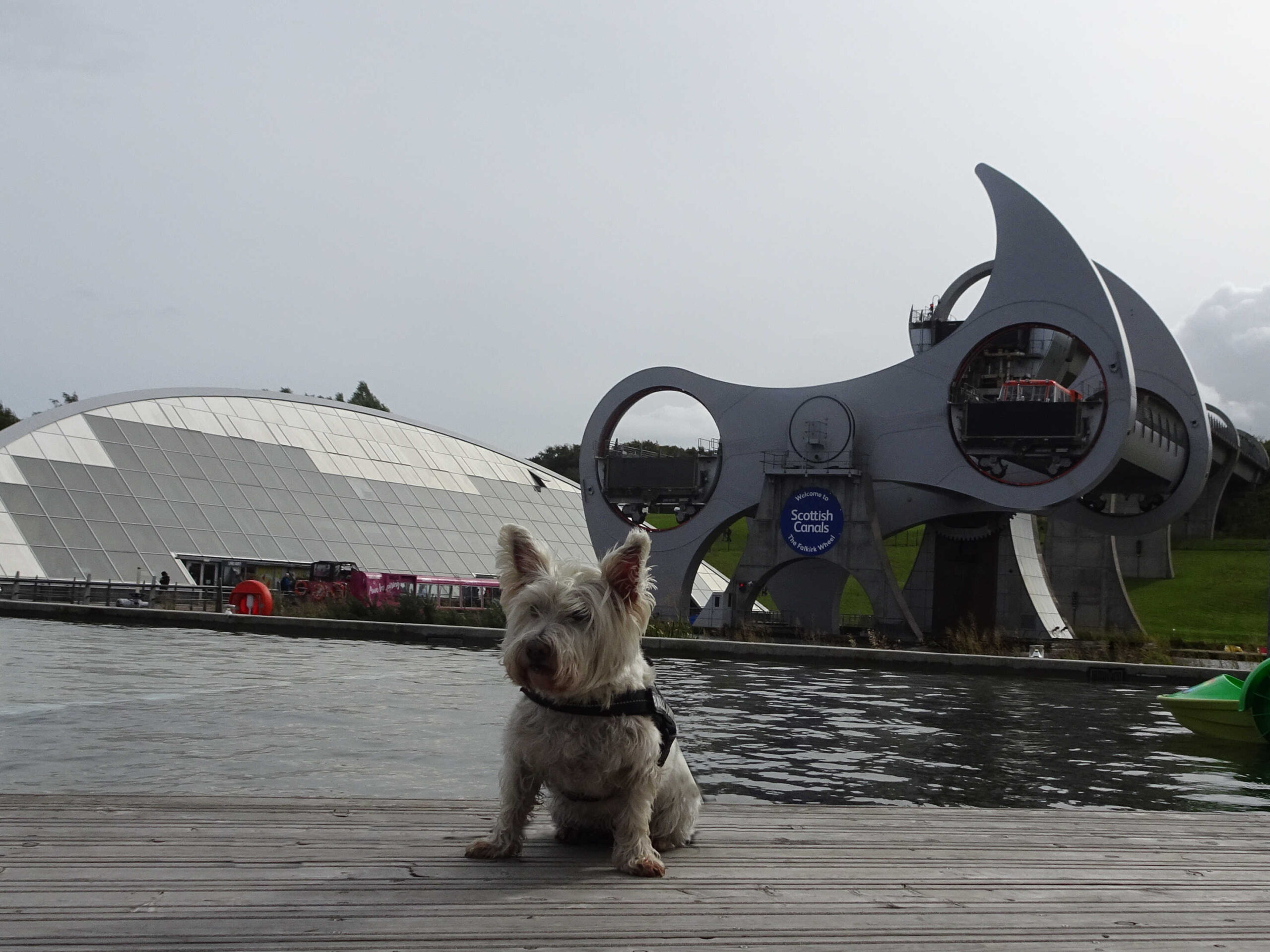 poppysocks infront of Falkirk wheel