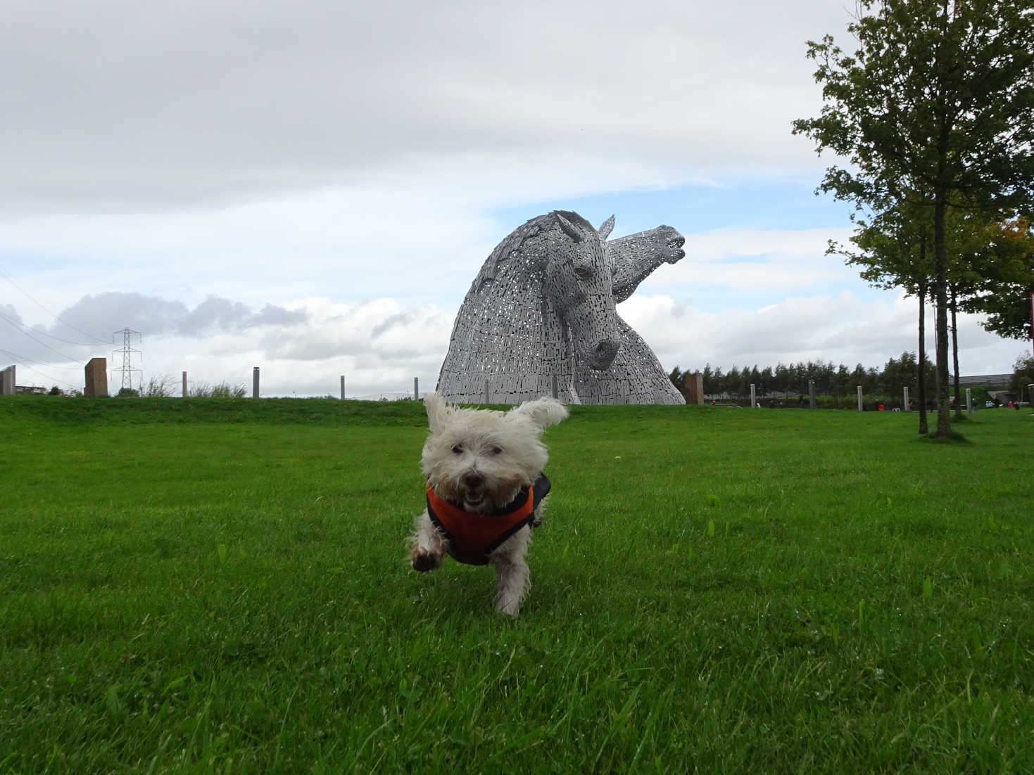 poppysocks playing at the kelpies