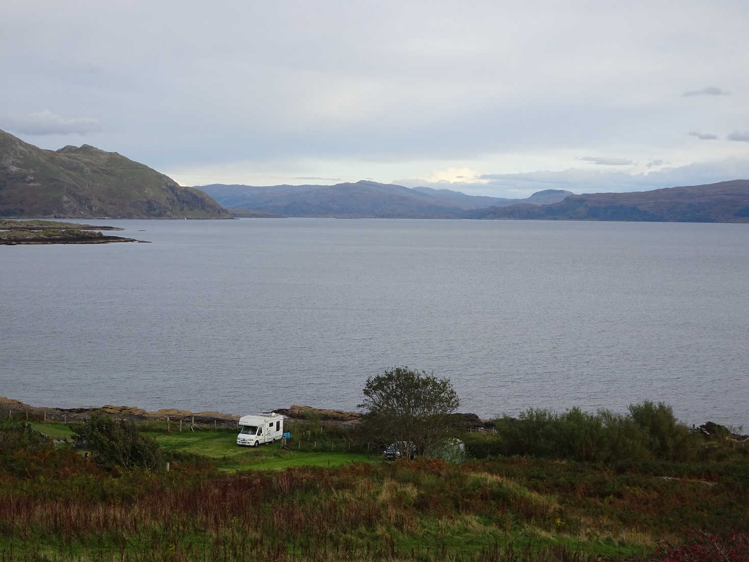 Betsy resting at Kilchoan