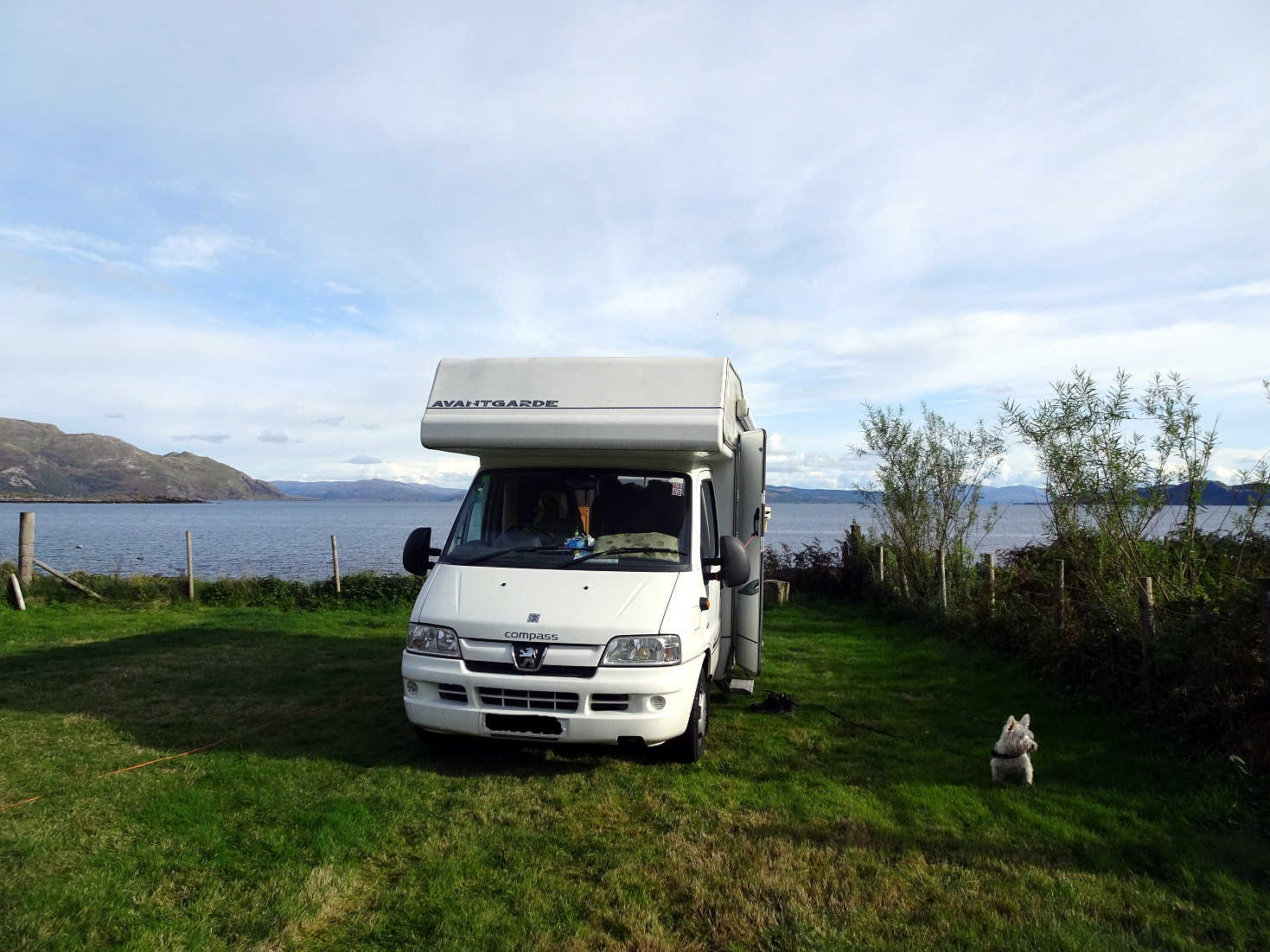 Poppysocks and Betsy at Kilchoan