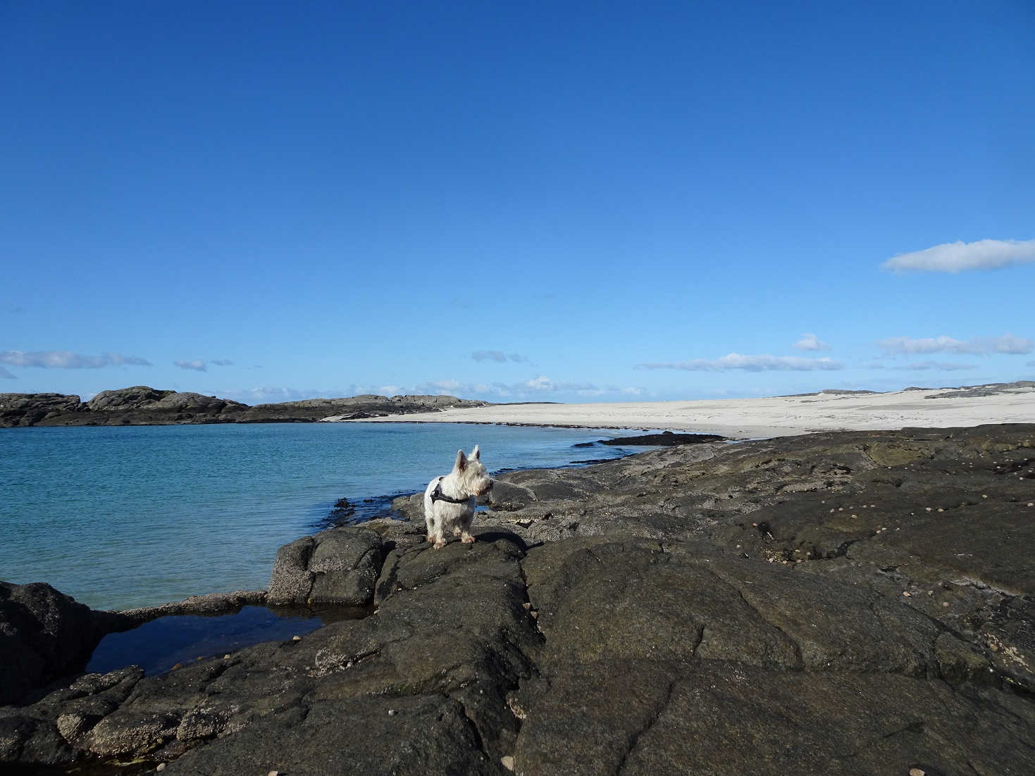 poppysocks at sanna beach