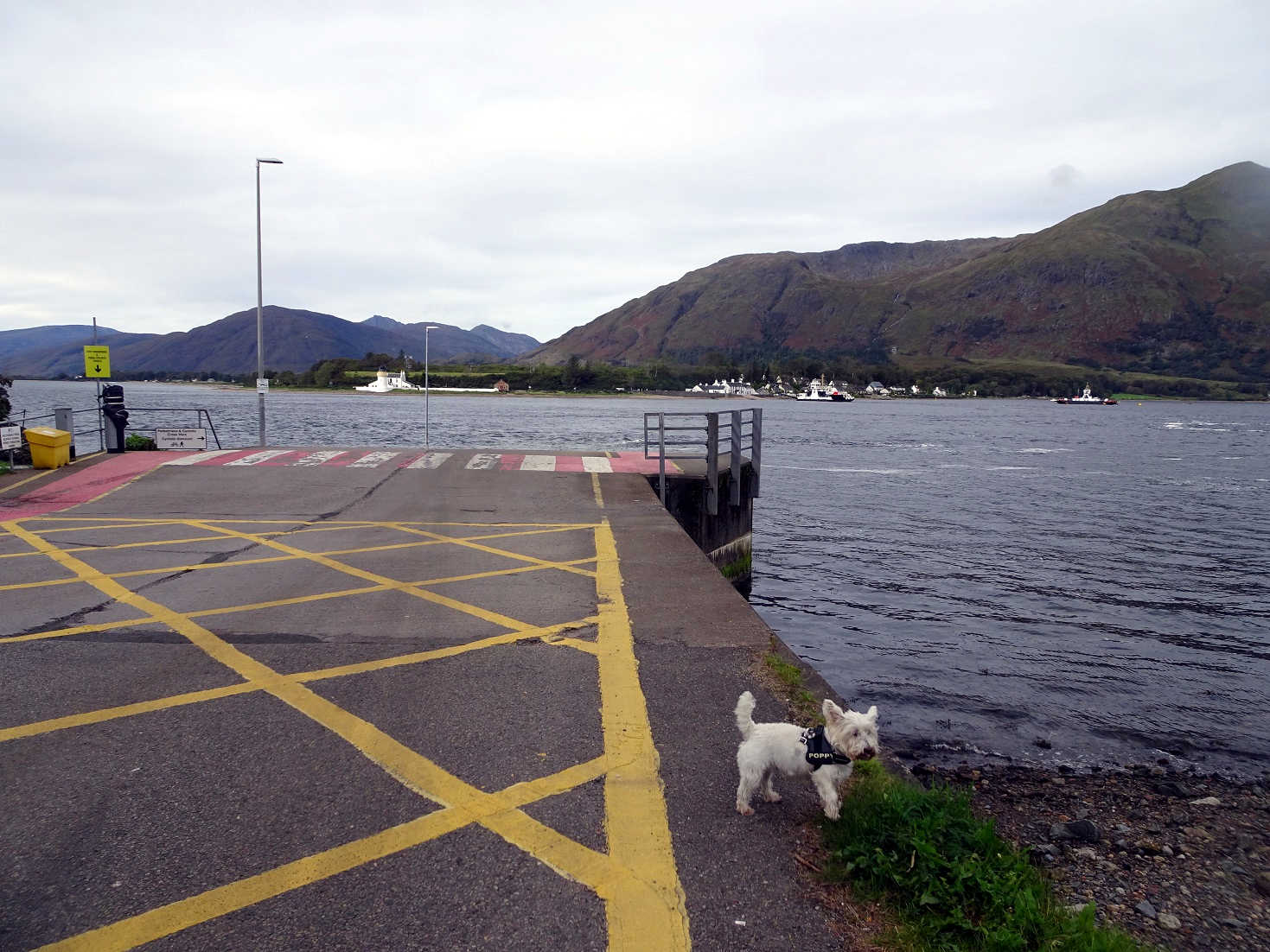 poppysocks at the corran ferry