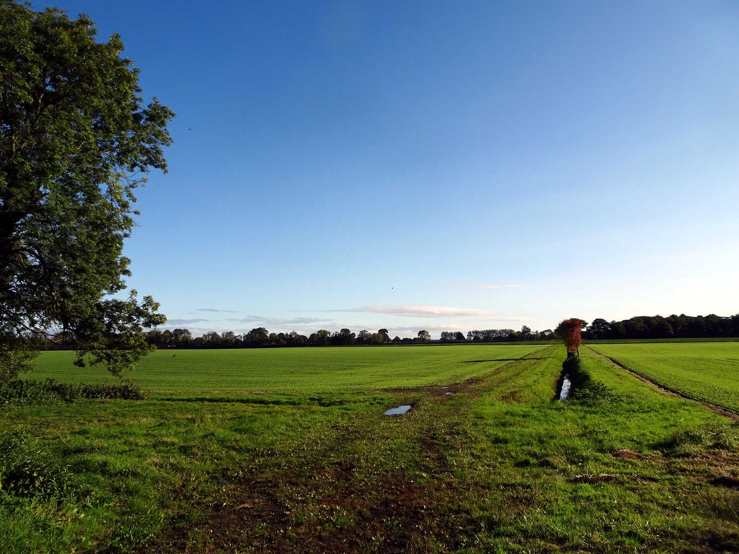 Fields outside Nayburn