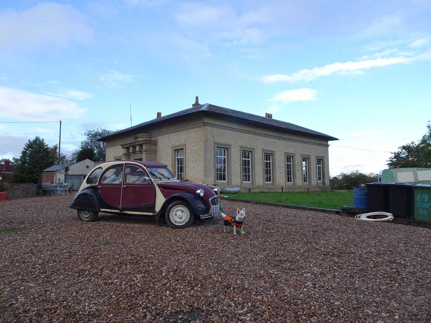 Poppy the westie at the Nayburn Lock Ballroom