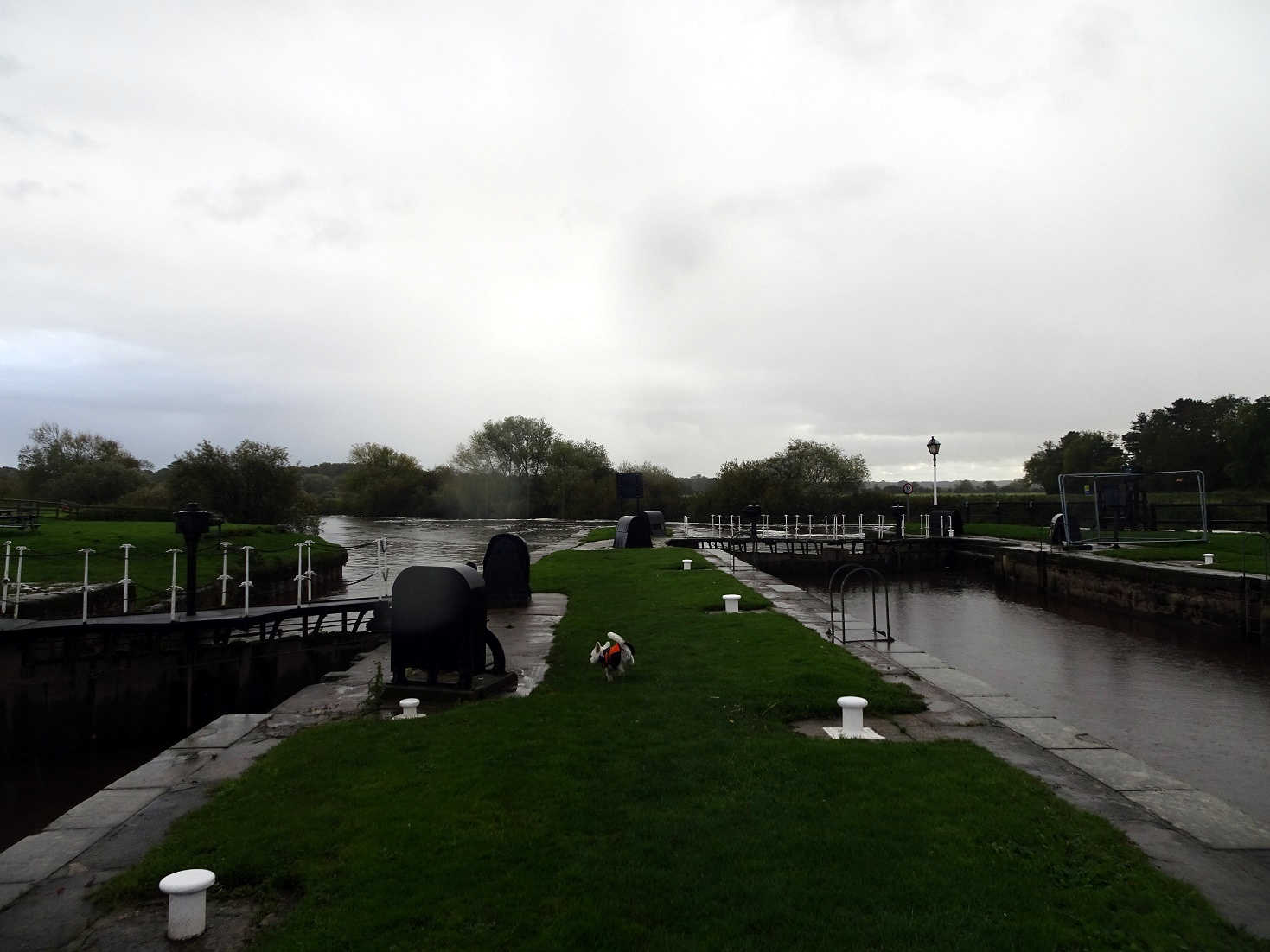 poppysocks at Nayburn Lock