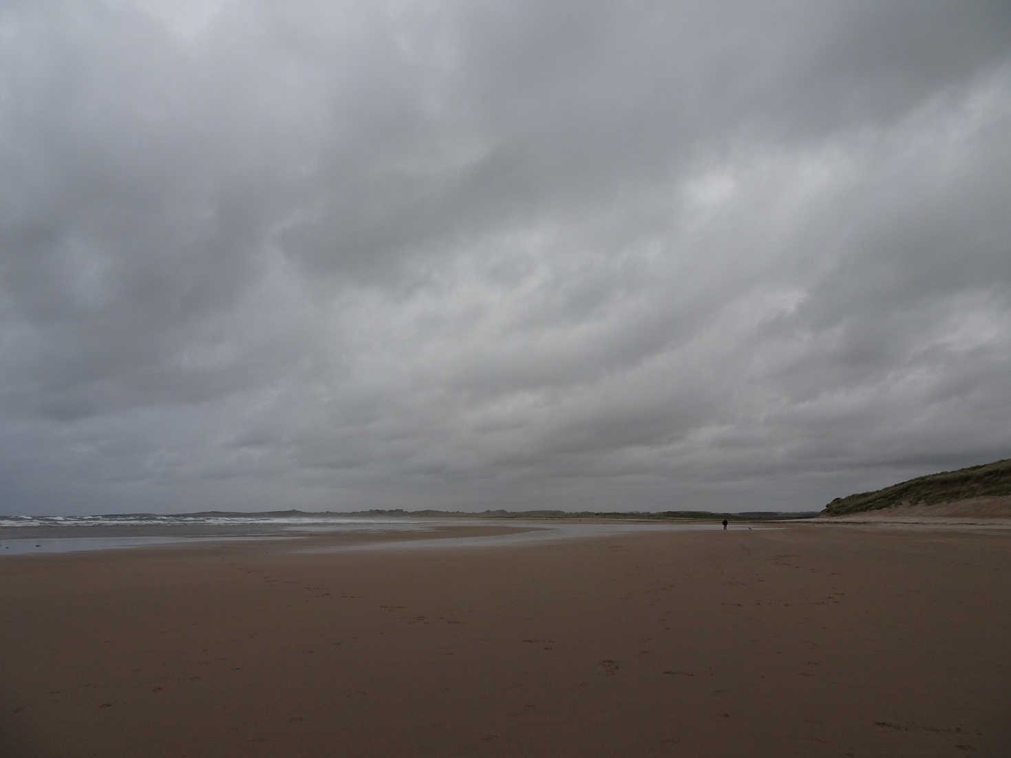 poppysocks at beadnell bay in the wind