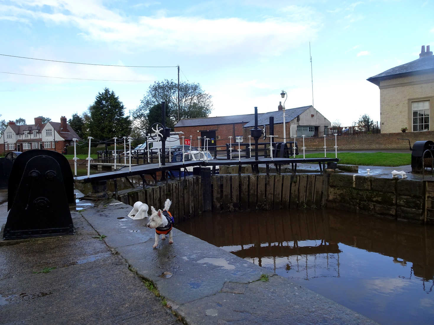 poppysocks crossing Nayburn Lock