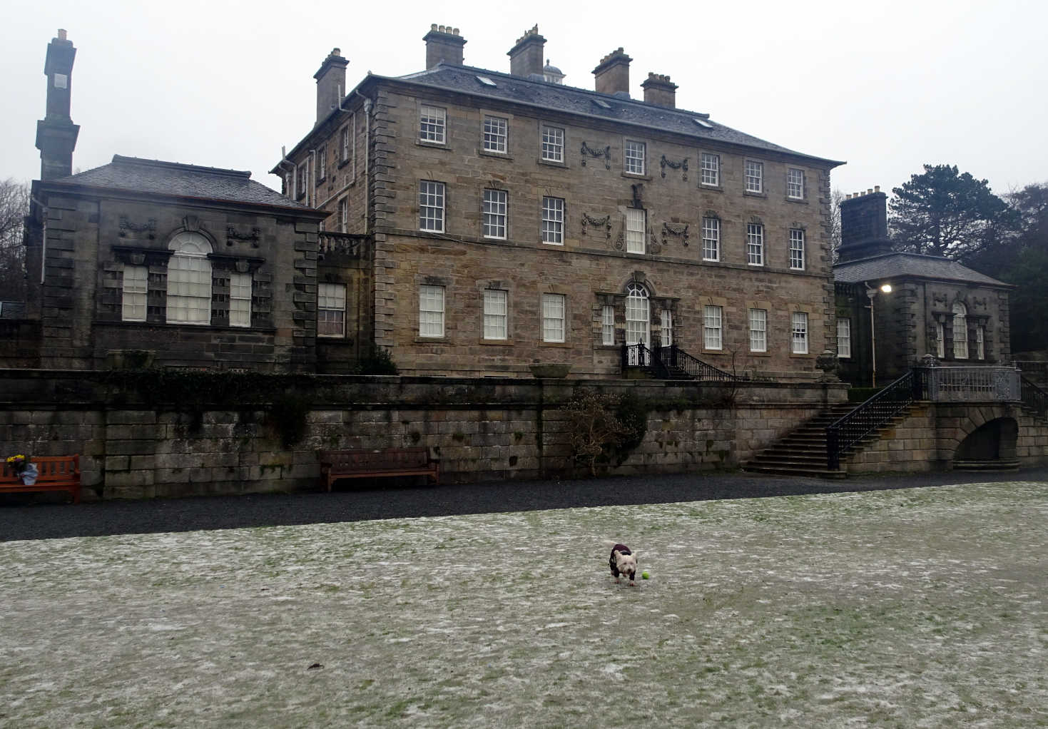 poppy on ice lawn pollock house