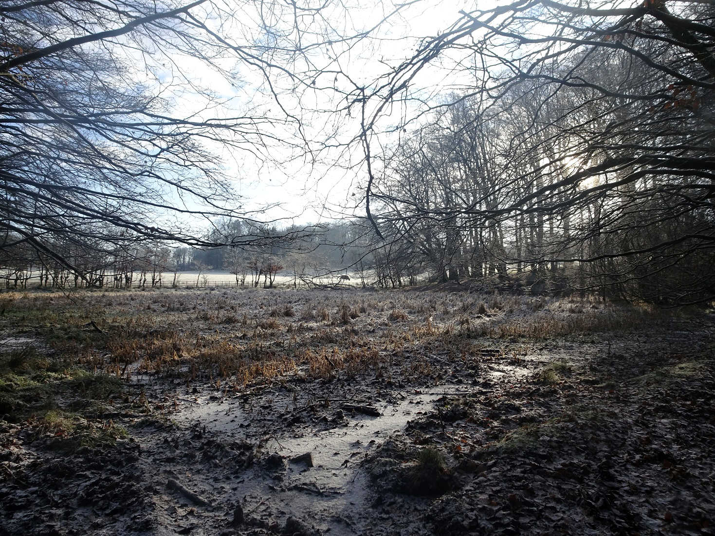 pollock park old curling pond