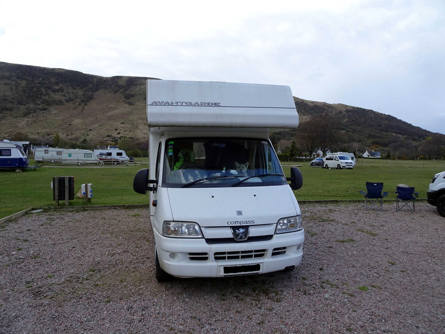 poppy the westie in betsy at lochranza ready to go