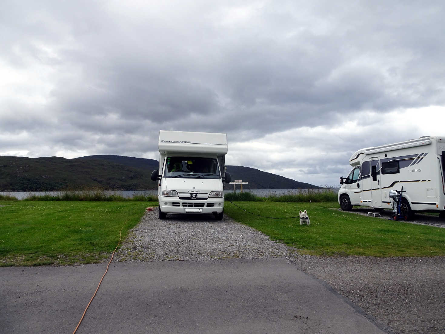 Poppy the westie and Betsy at Ullapool Campsite