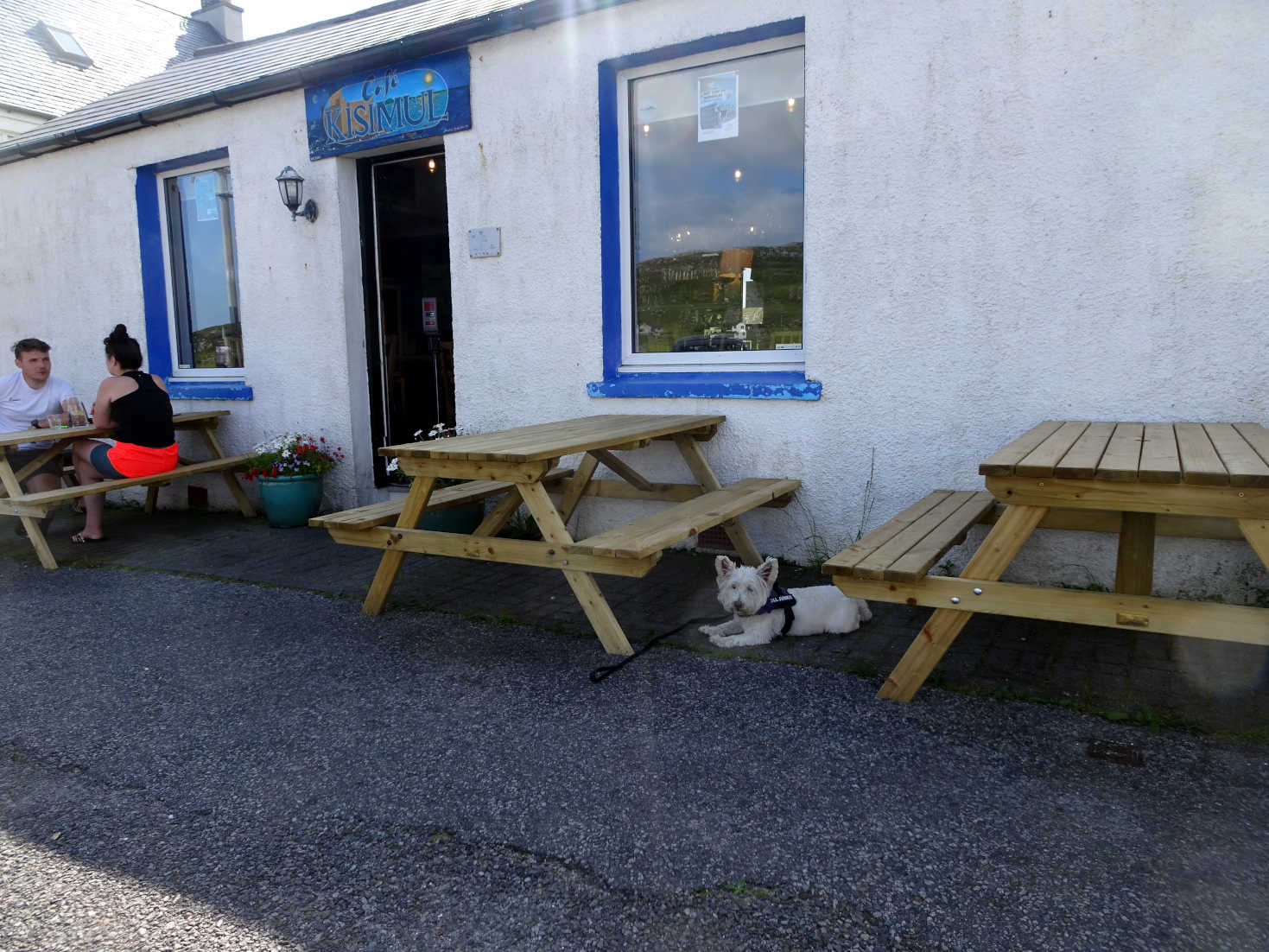 poppy the westie outside the kisimul at castlebay Barra