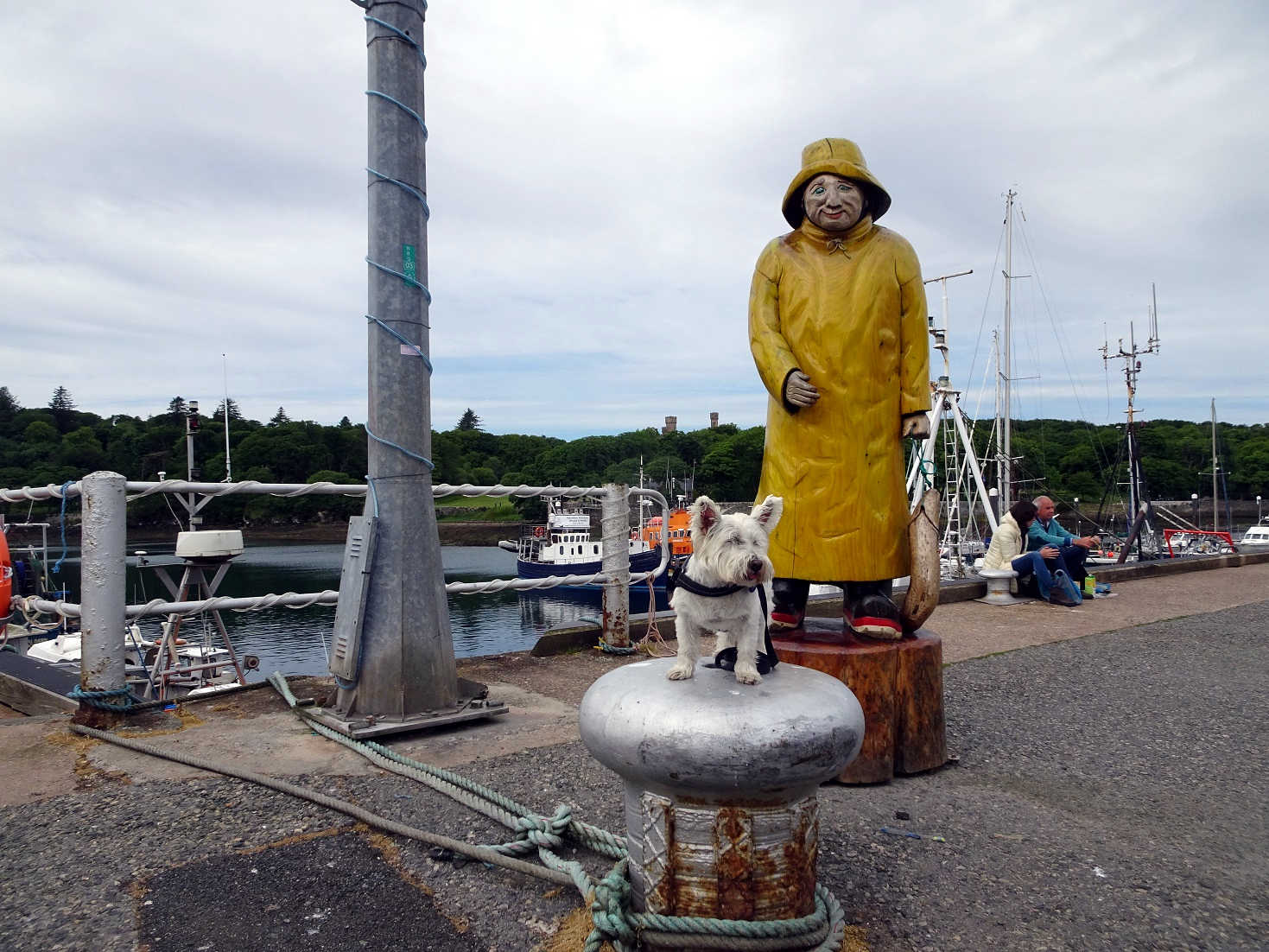 poppy the westie with fisherman in Stornaway