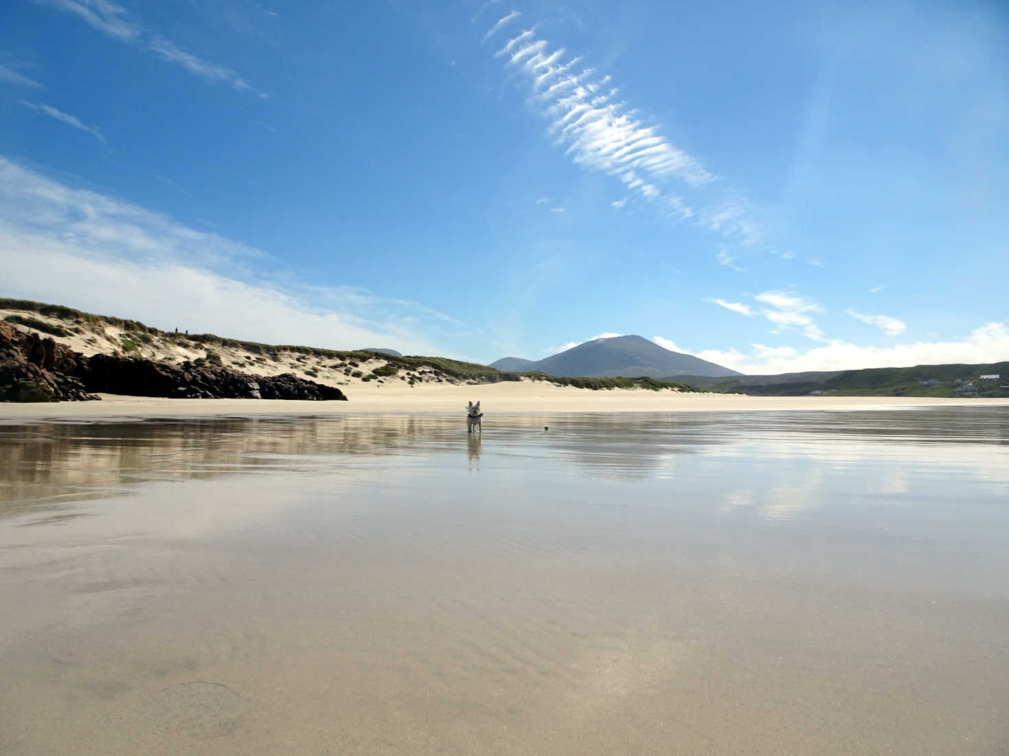 poppysocks on Ardroil Beach Uig Isle