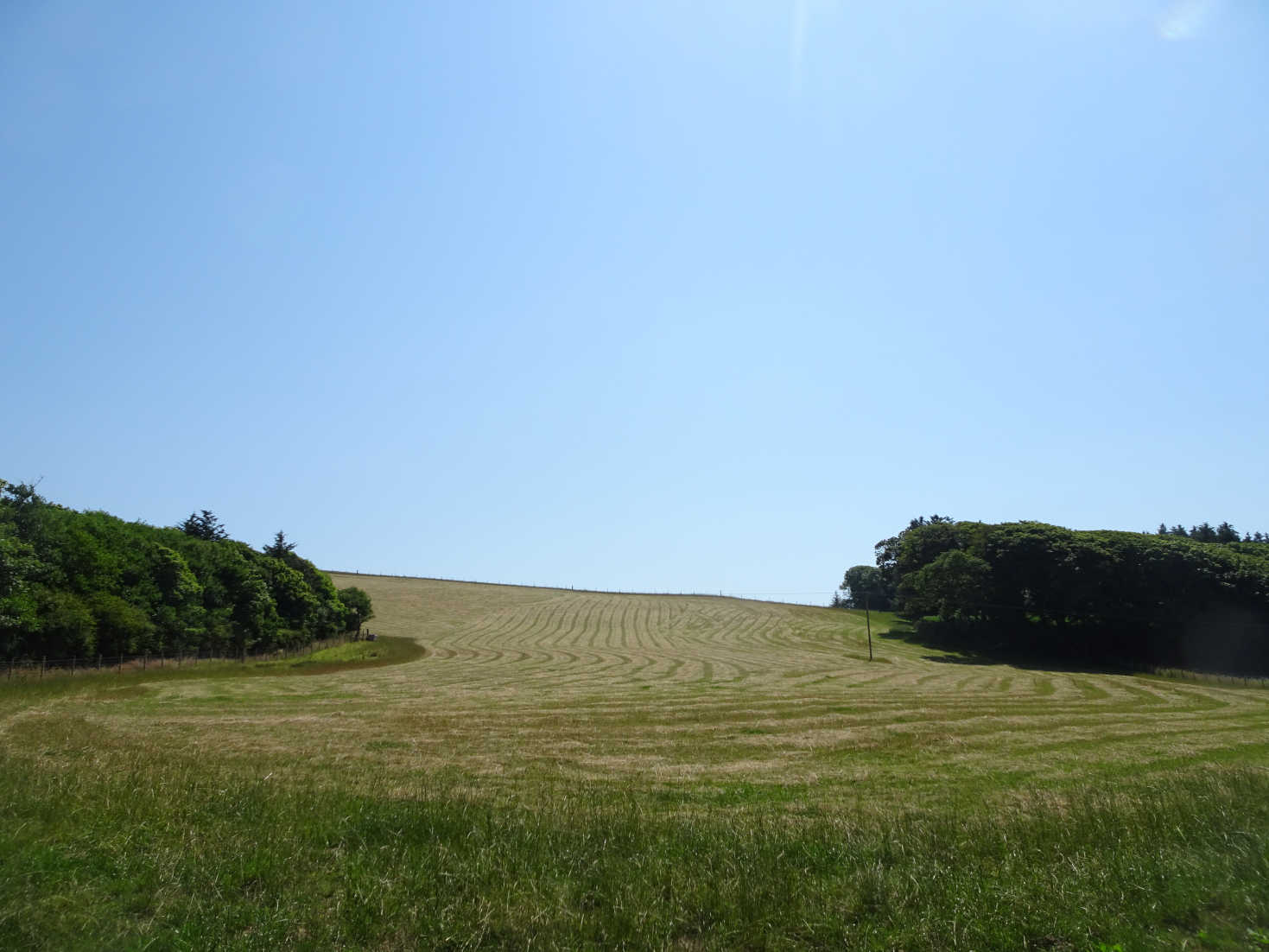 fields in portpatrick