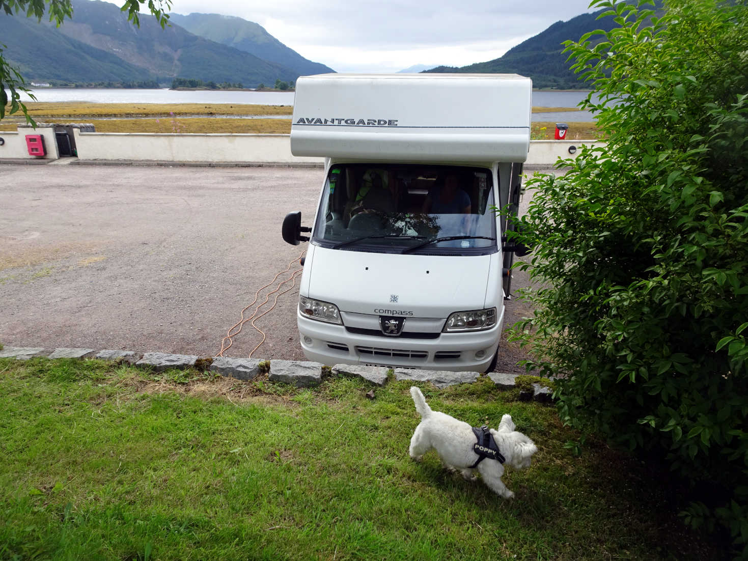 poppy explores campsite at glen coe