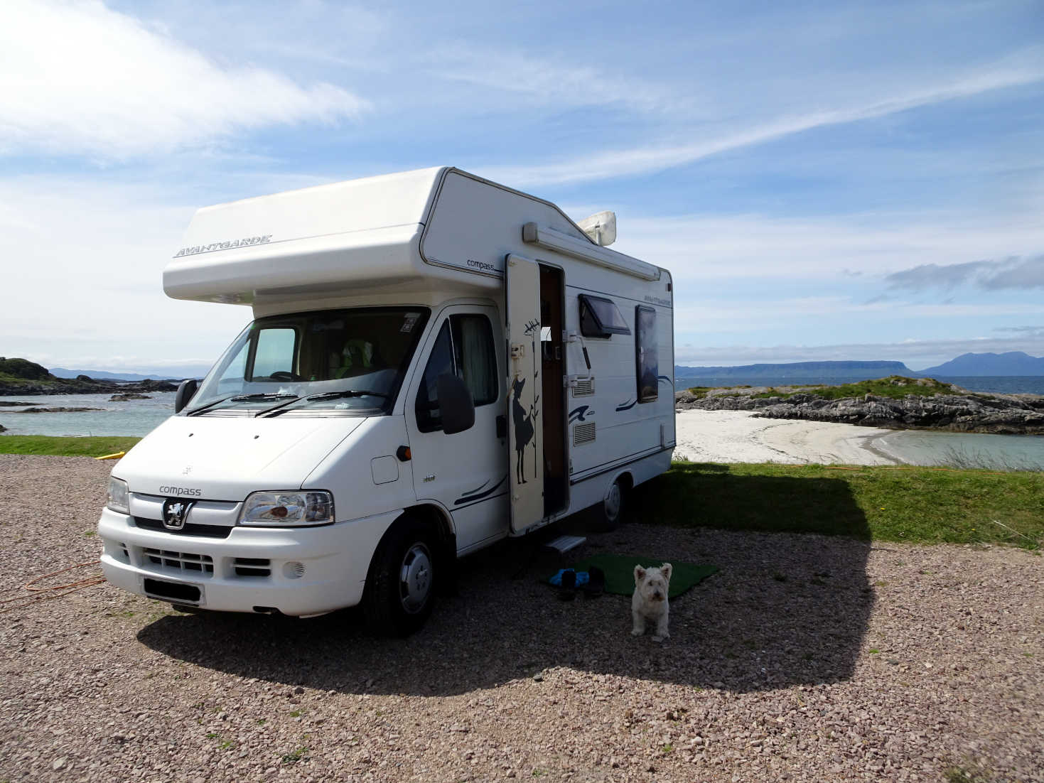 poppy the westie and betsy at silversands