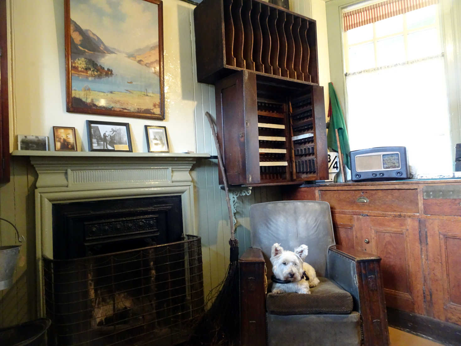 poppy the westie in glenfinnan station