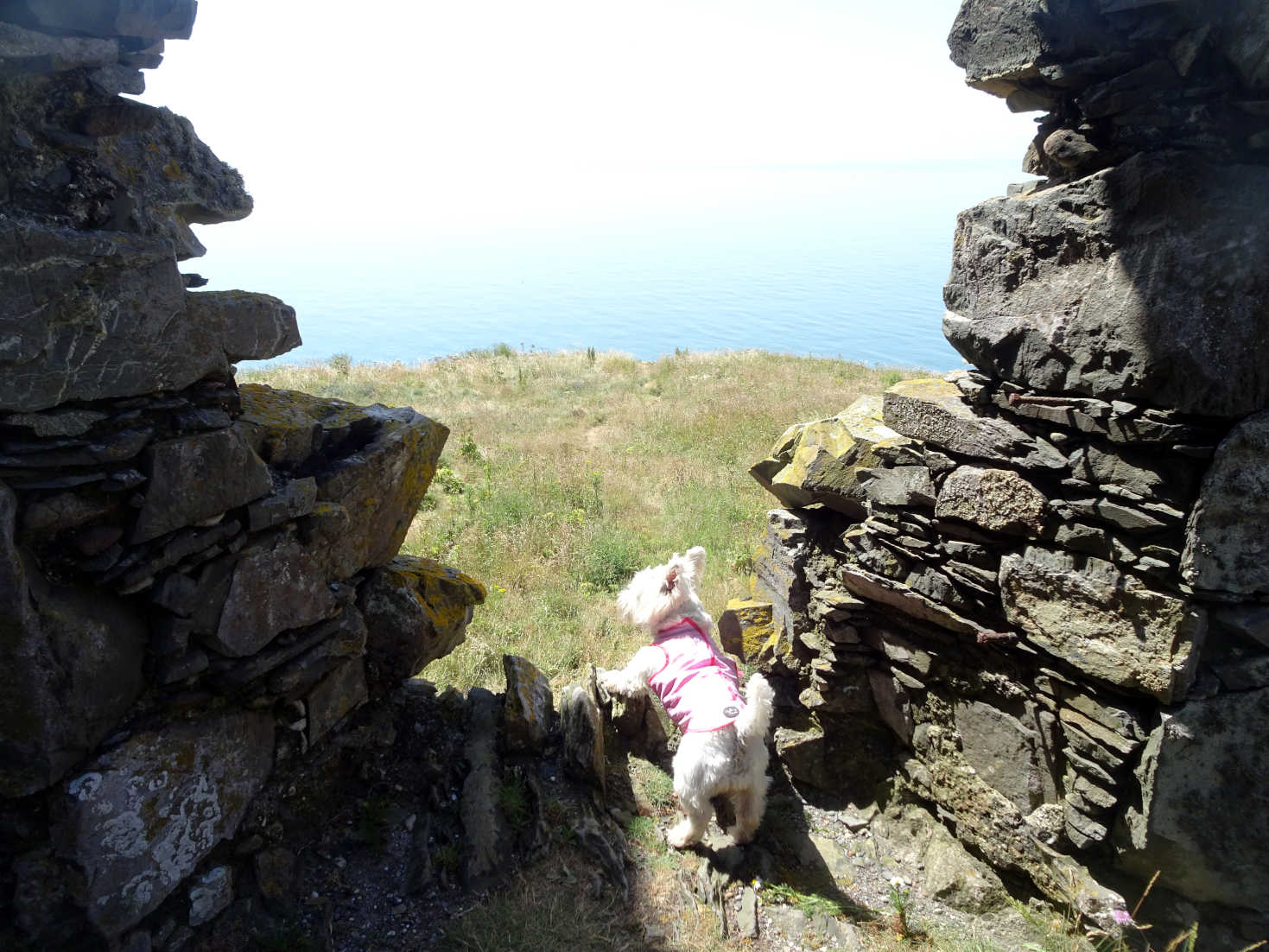 poppysocks looking for mum dunskey castle portpatrick