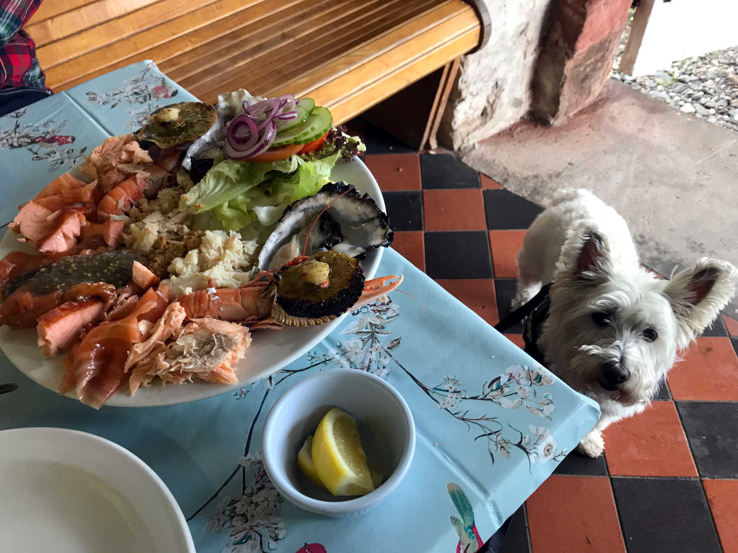 poppy wants lunch at the seafood shack