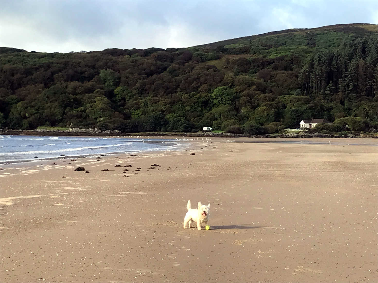 poppysocks in the sun on caradale beach