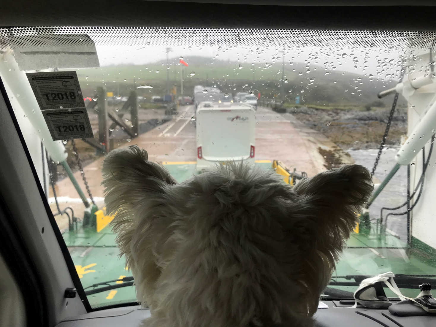 poppysocks leaving the ferry