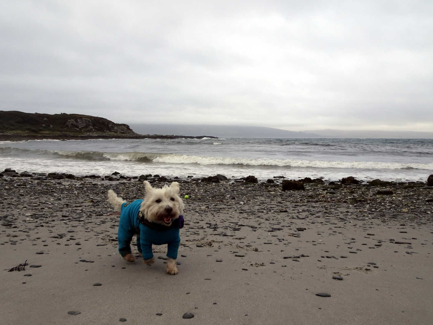 poppysocks on Righ Beach