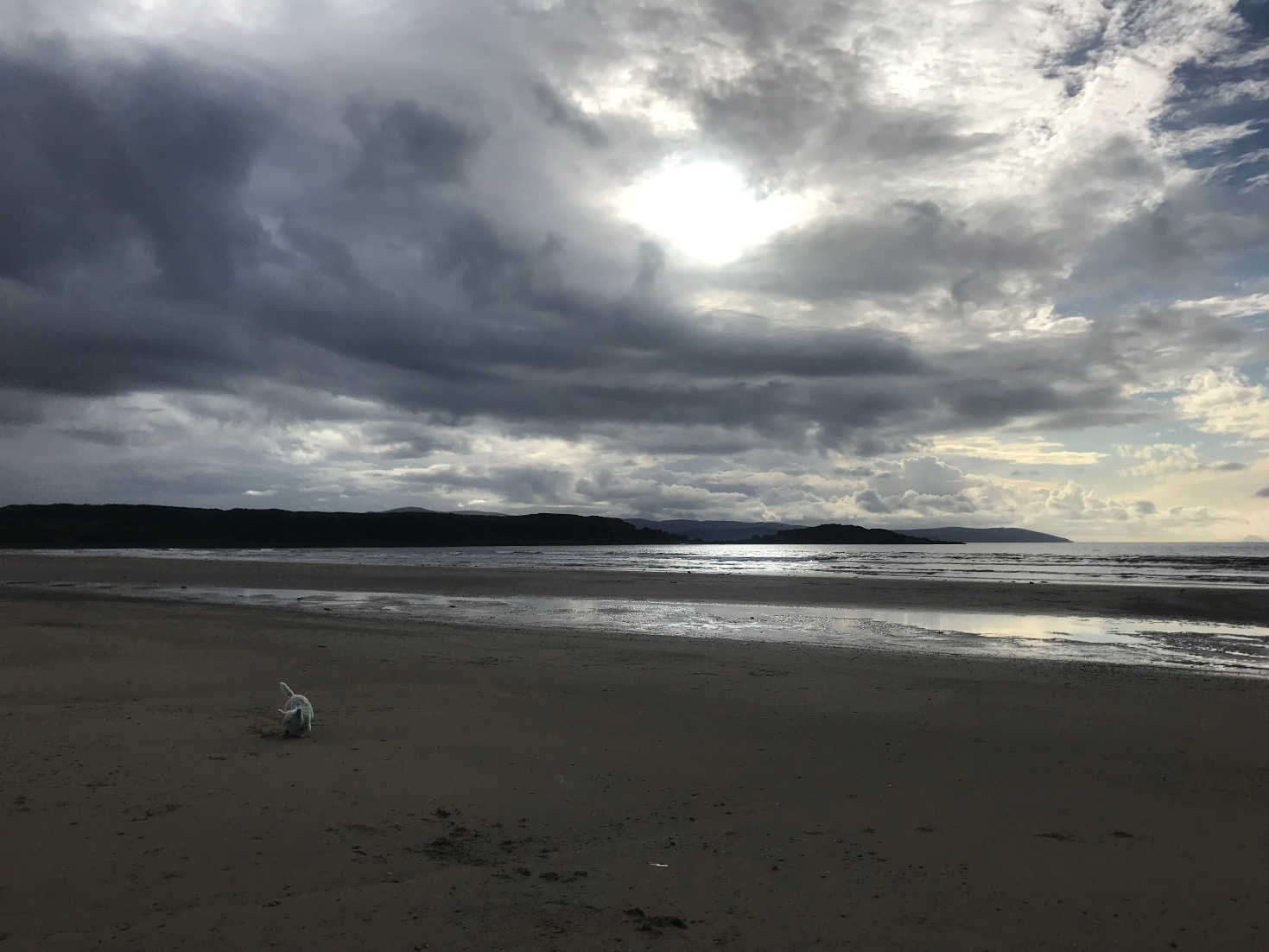 poppysocks on caradale beach in the morning