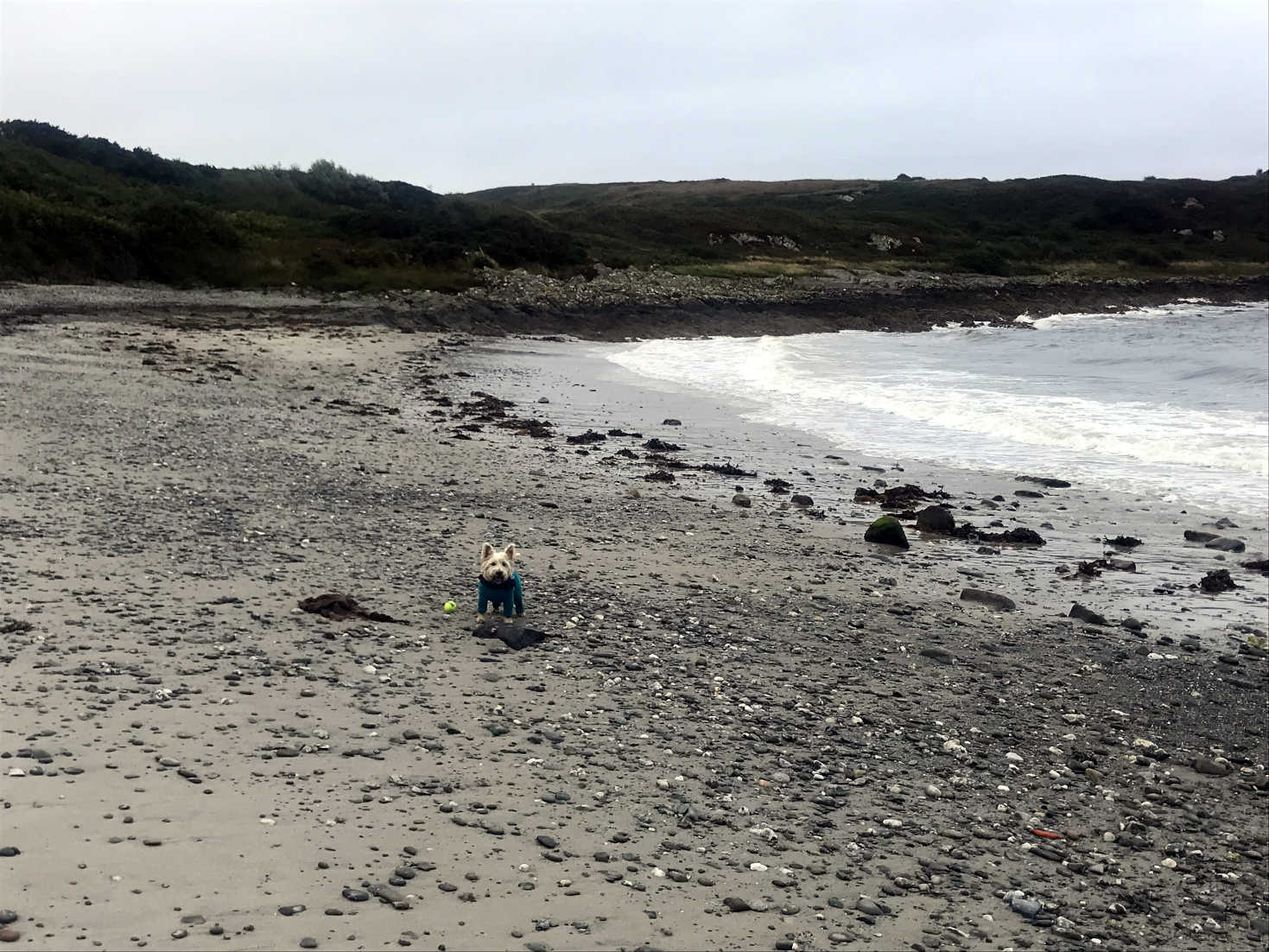 poppysocks on port righ beach