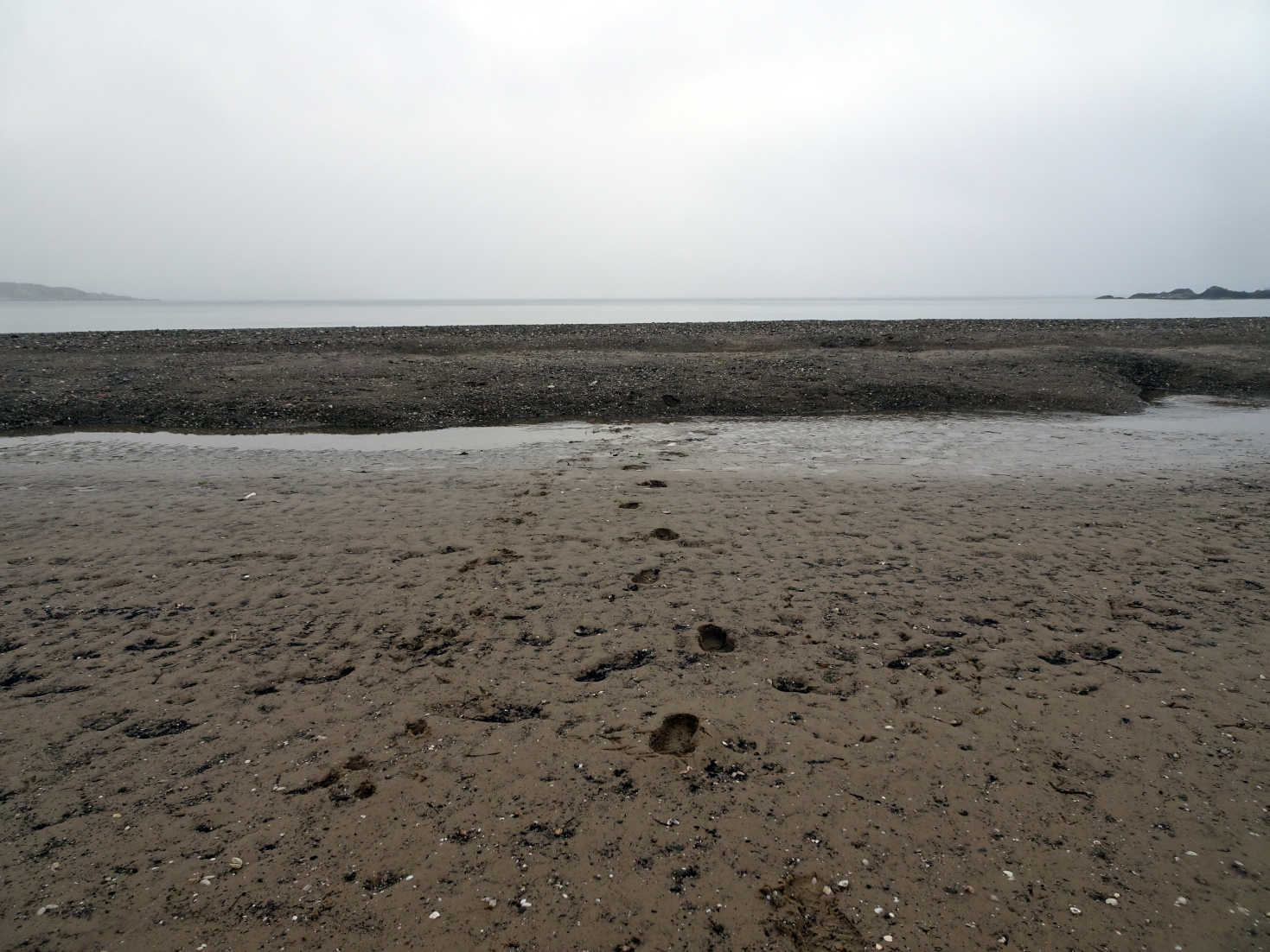 sink sand carradale