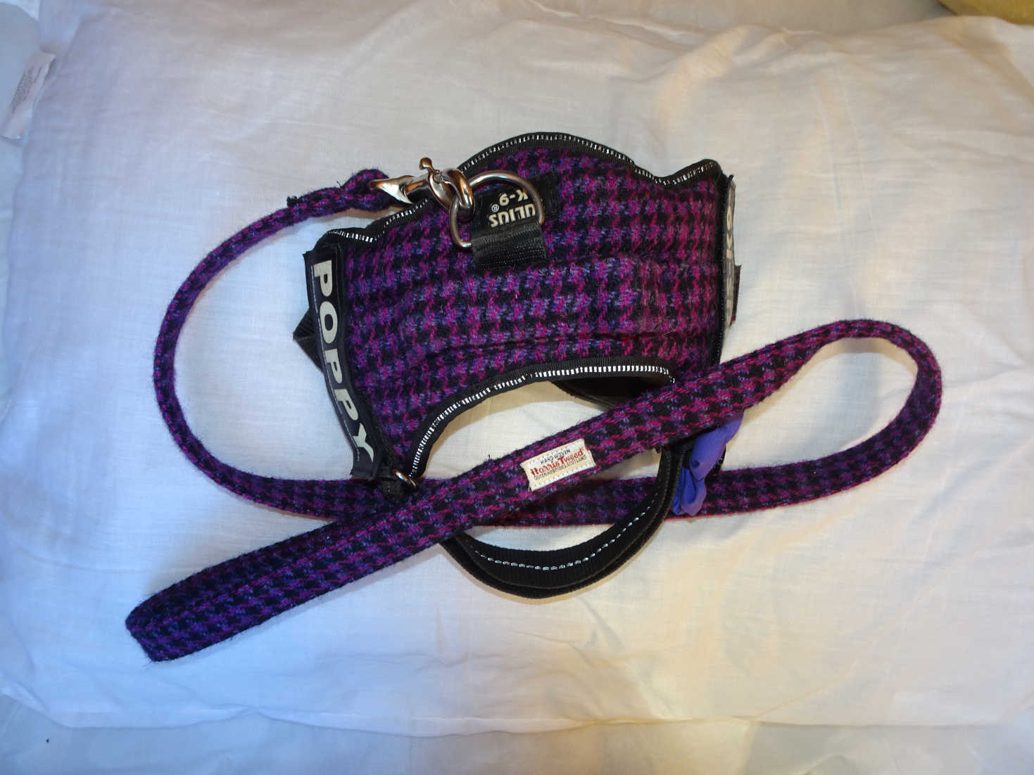 harris harness and leash 1.JPG