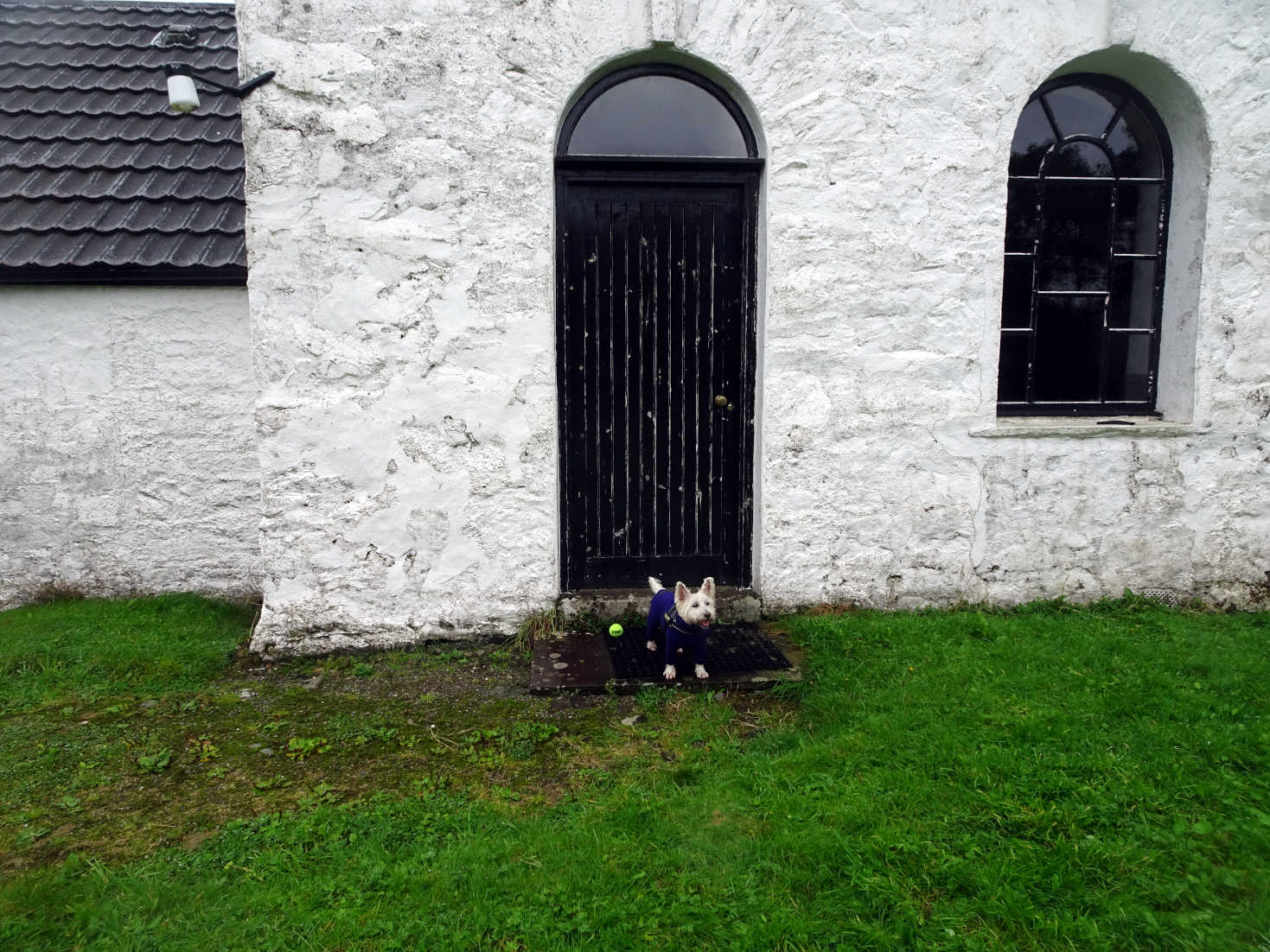 poppy at dalavich church