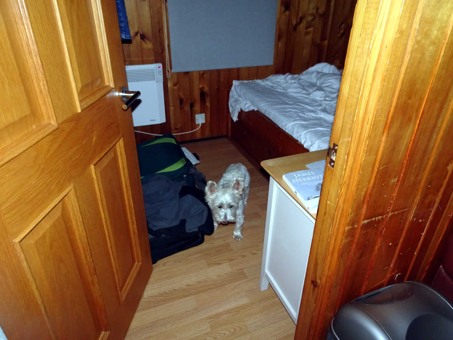 poppy ready for bed in dalavich hut