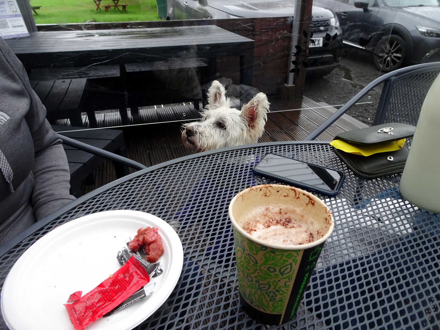 poppy smells the sausage at the wild rowan cafe dalavich