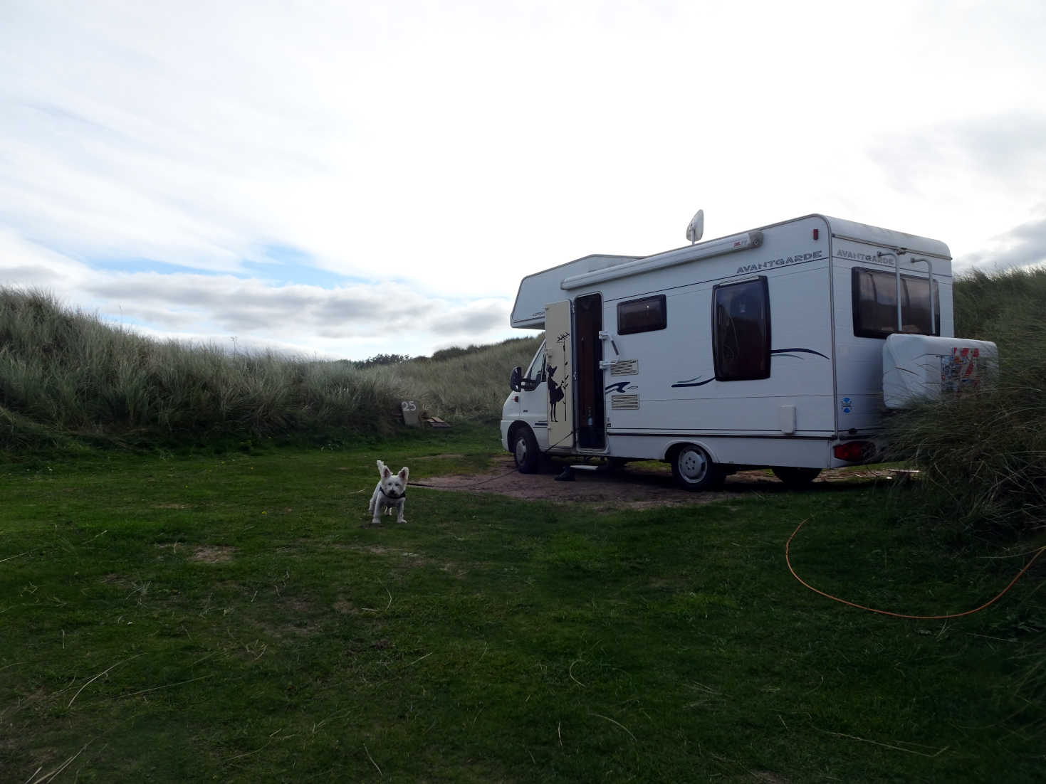 poppysocks and betsy new pitch 5 beadnel bay