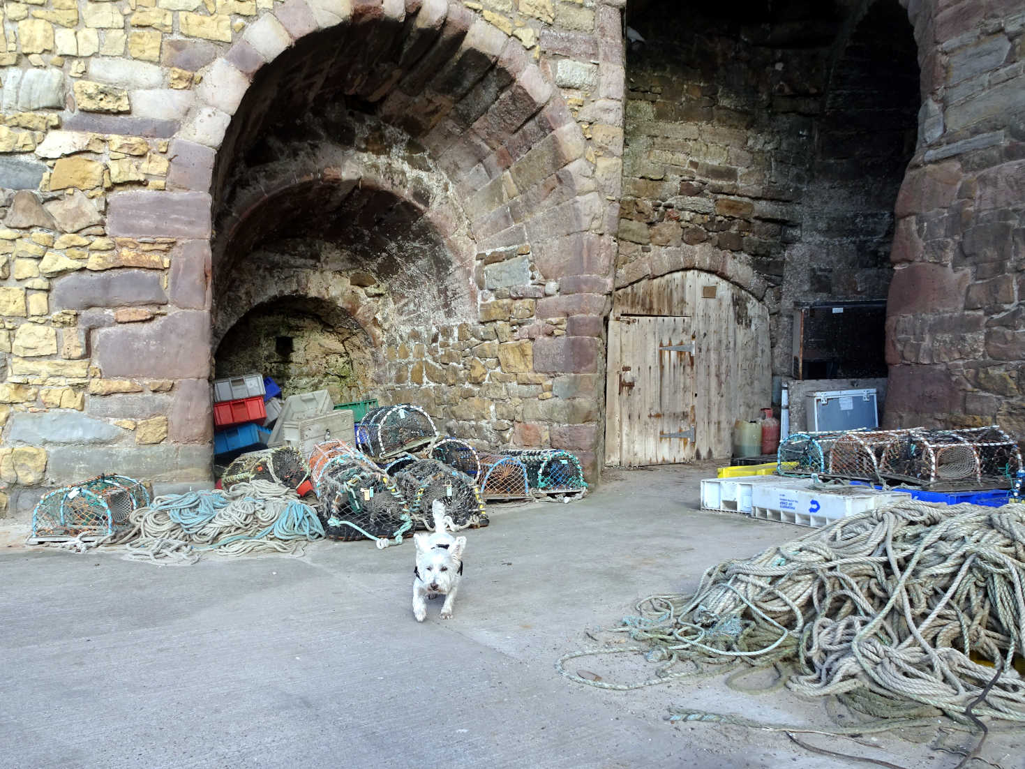 poppysocks explores the kilns at beadnell