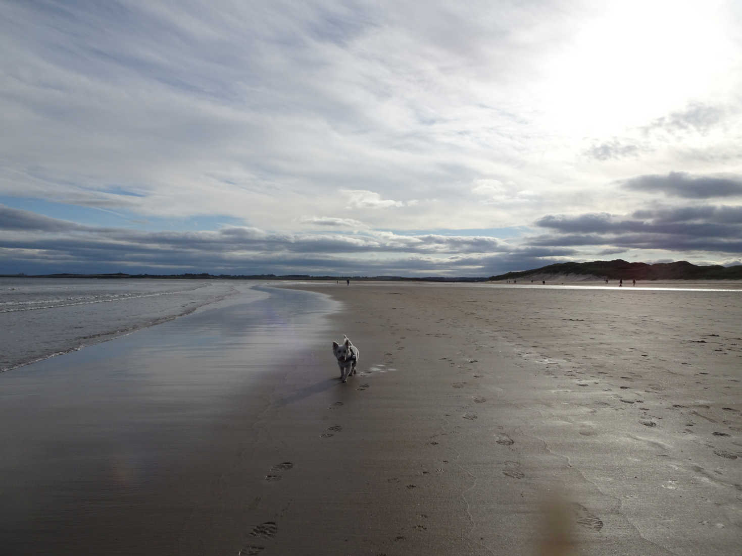 poppysocks plodding to the kilns beadnell