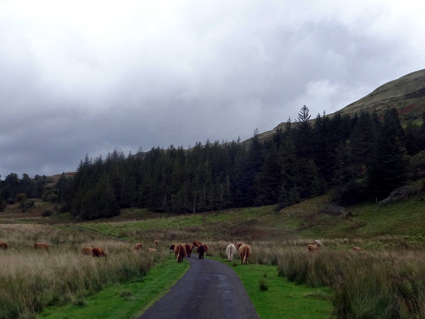 sat nav road oban