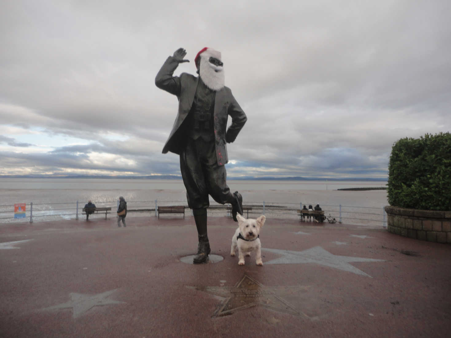 poppy the westie at Morecambe