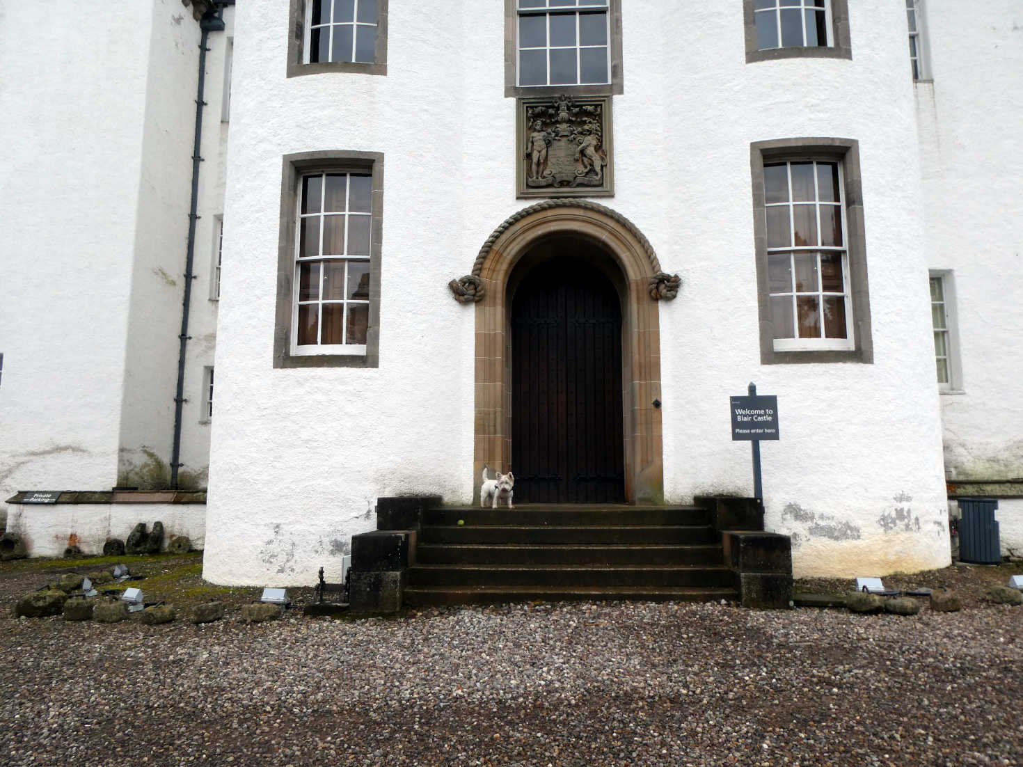 poppy the westie outside blair atholl castle