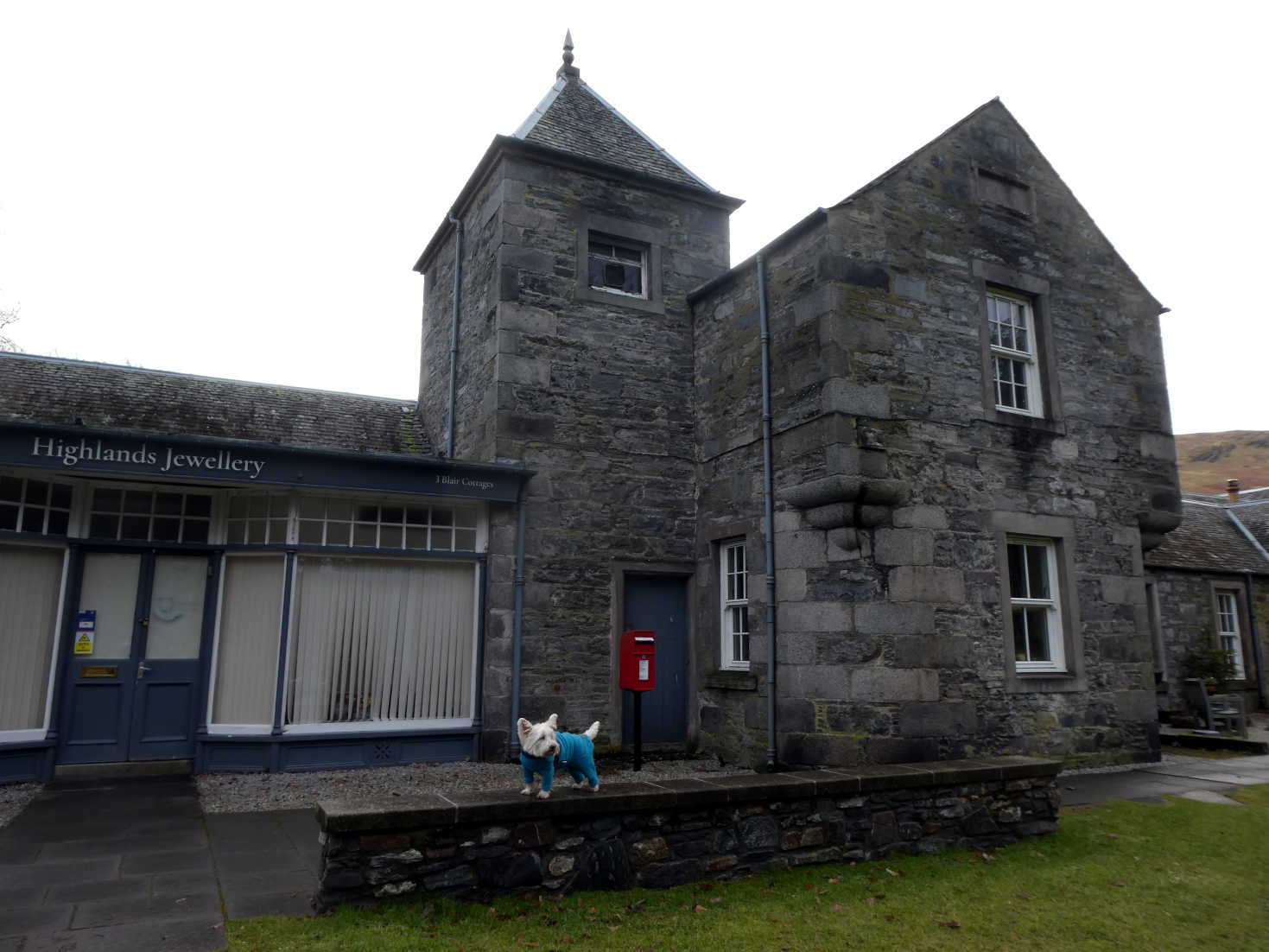 poppy the westie outside post office blair atholl