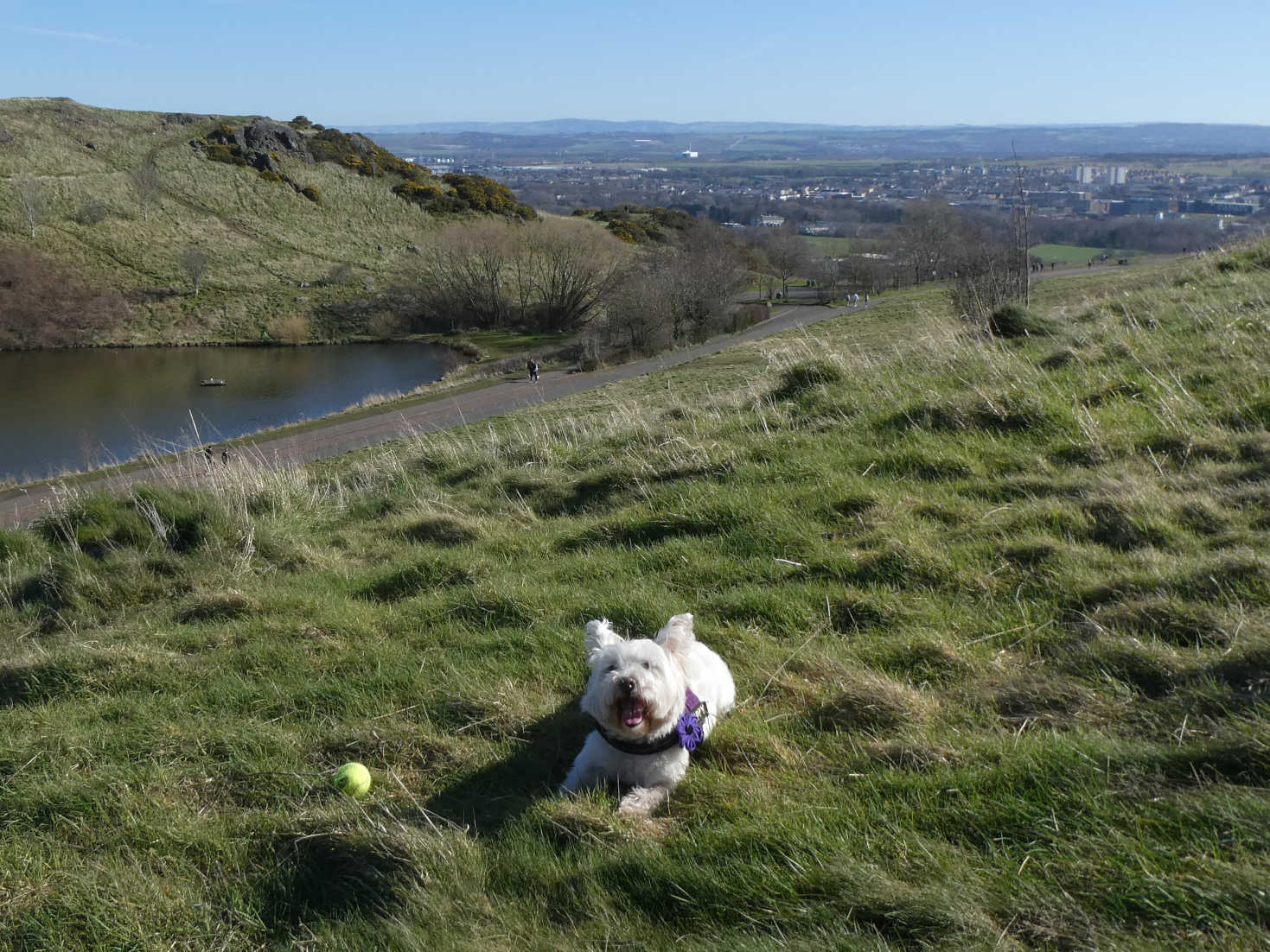 poppy has a break on arthurs seat