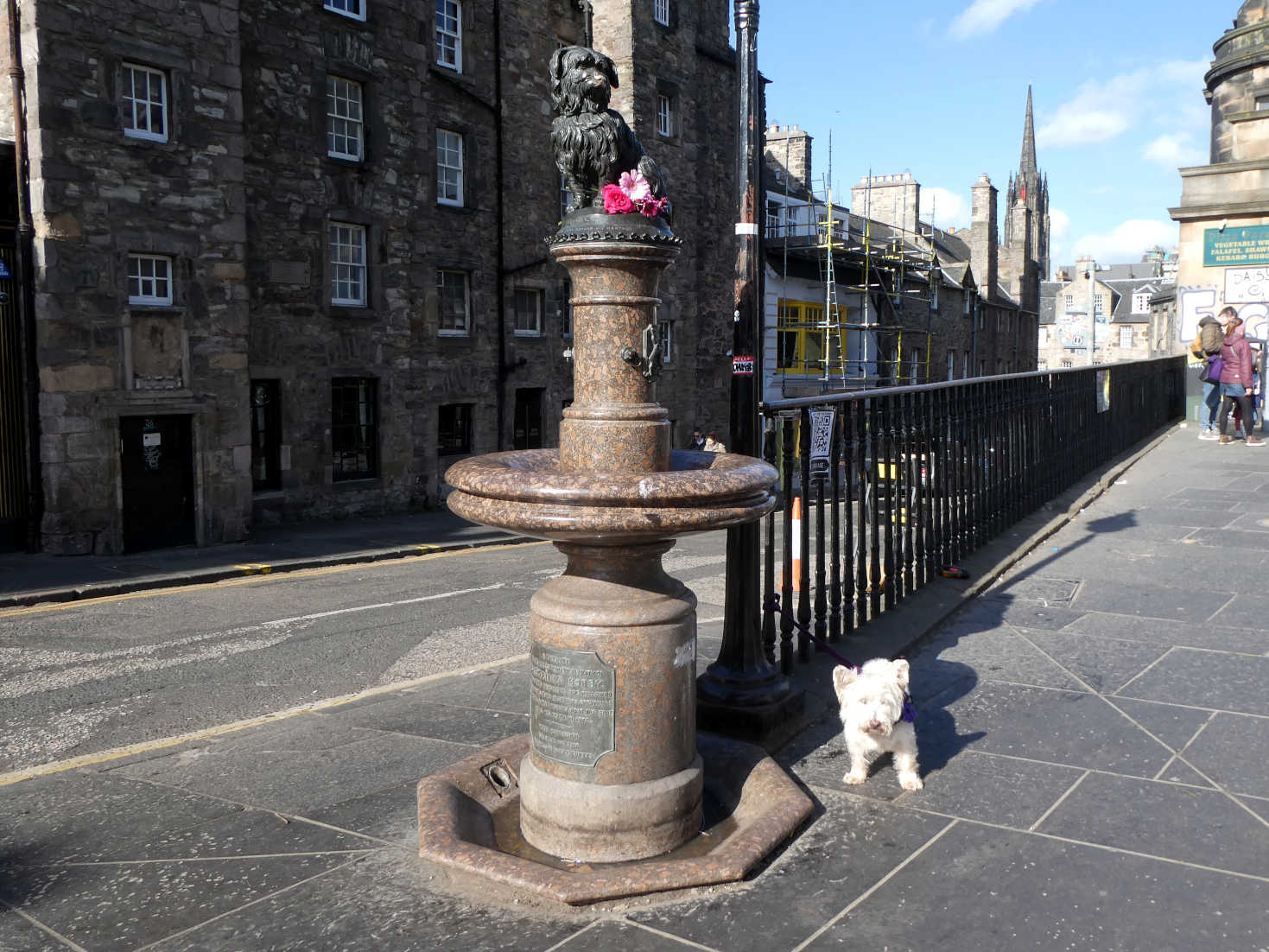 poppy the westie and greyfriers bobby endinburgh