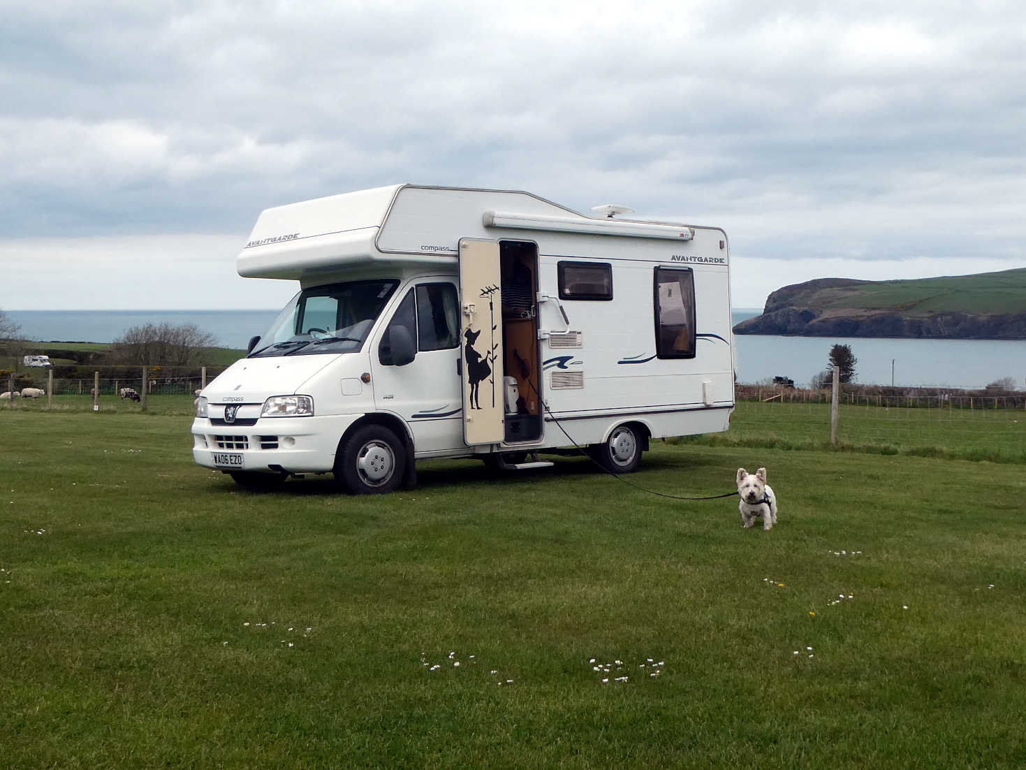 Poppy the Westie and Betsy at Conifers Farm Newport