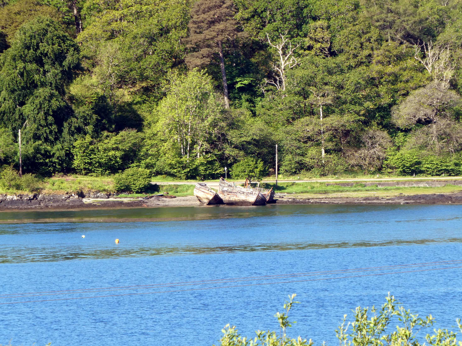 Dead Trawlers in Salen Bay