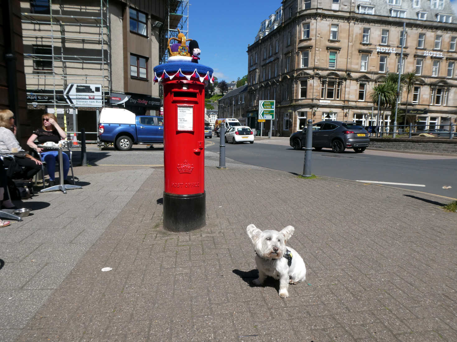 Poppy the Westie and Jubilee Post Box