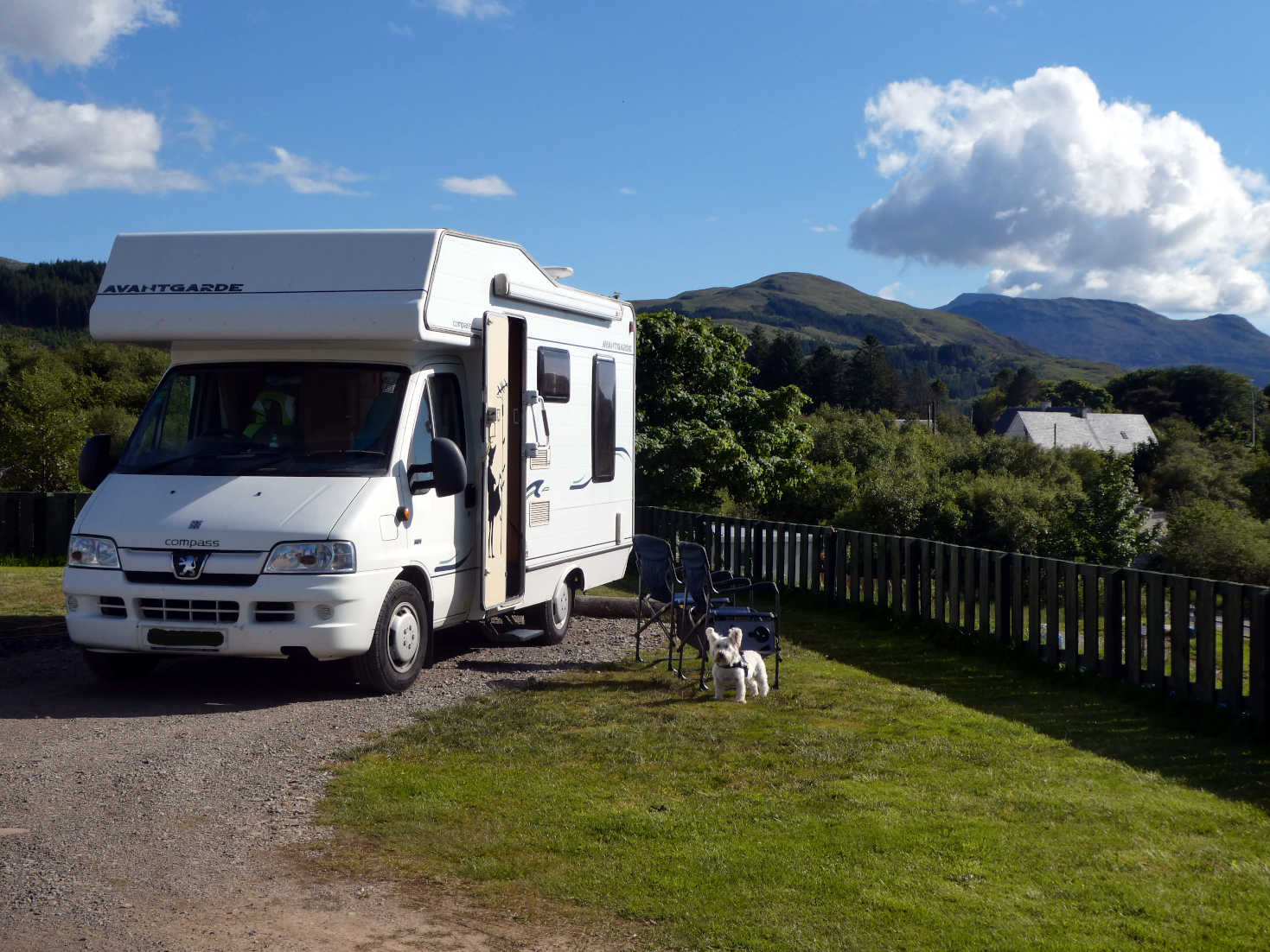 Poppy the westie makes camp at Salen Mull